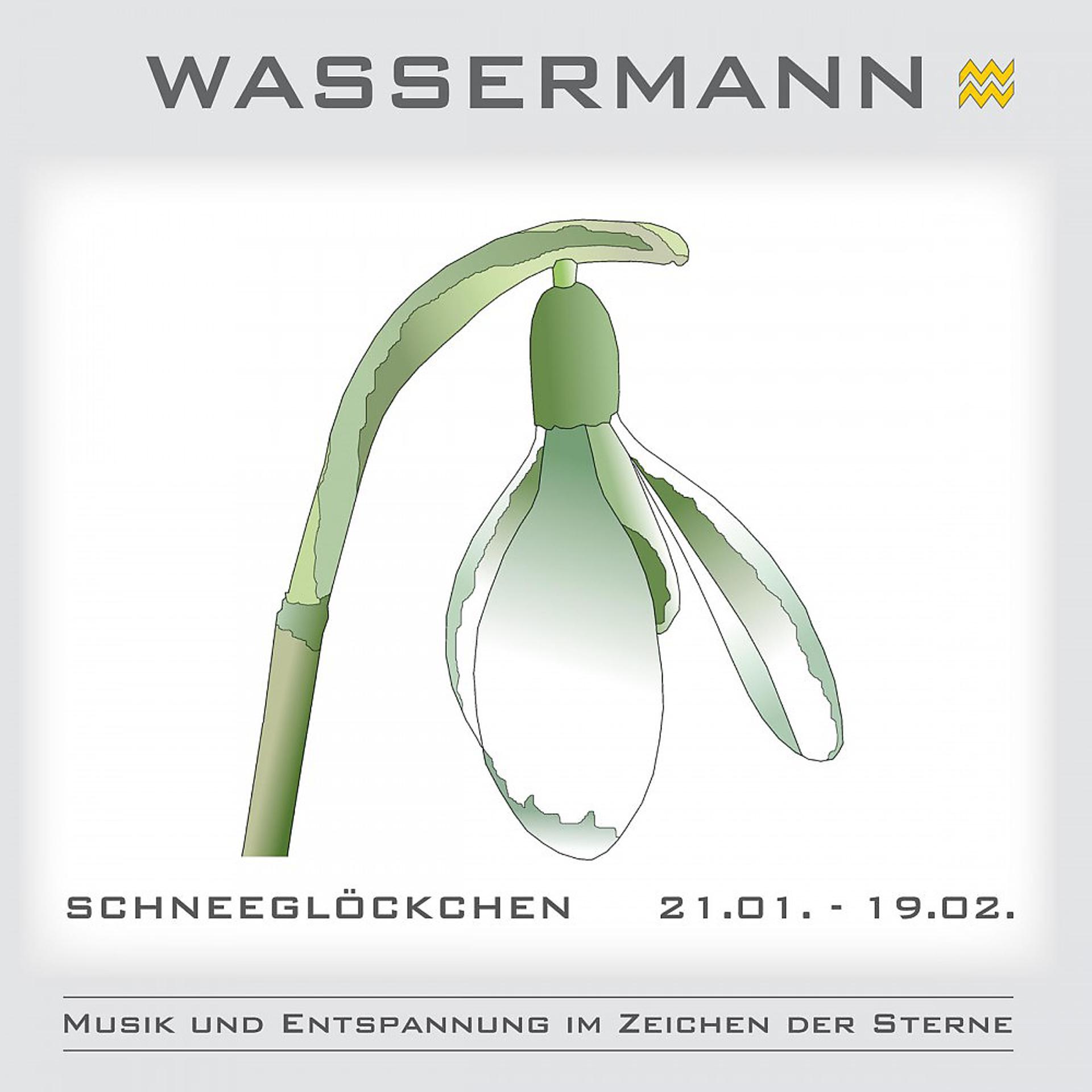 Постер альбома Wassermann - Musik und Entspannung im Zeichen der Sterne