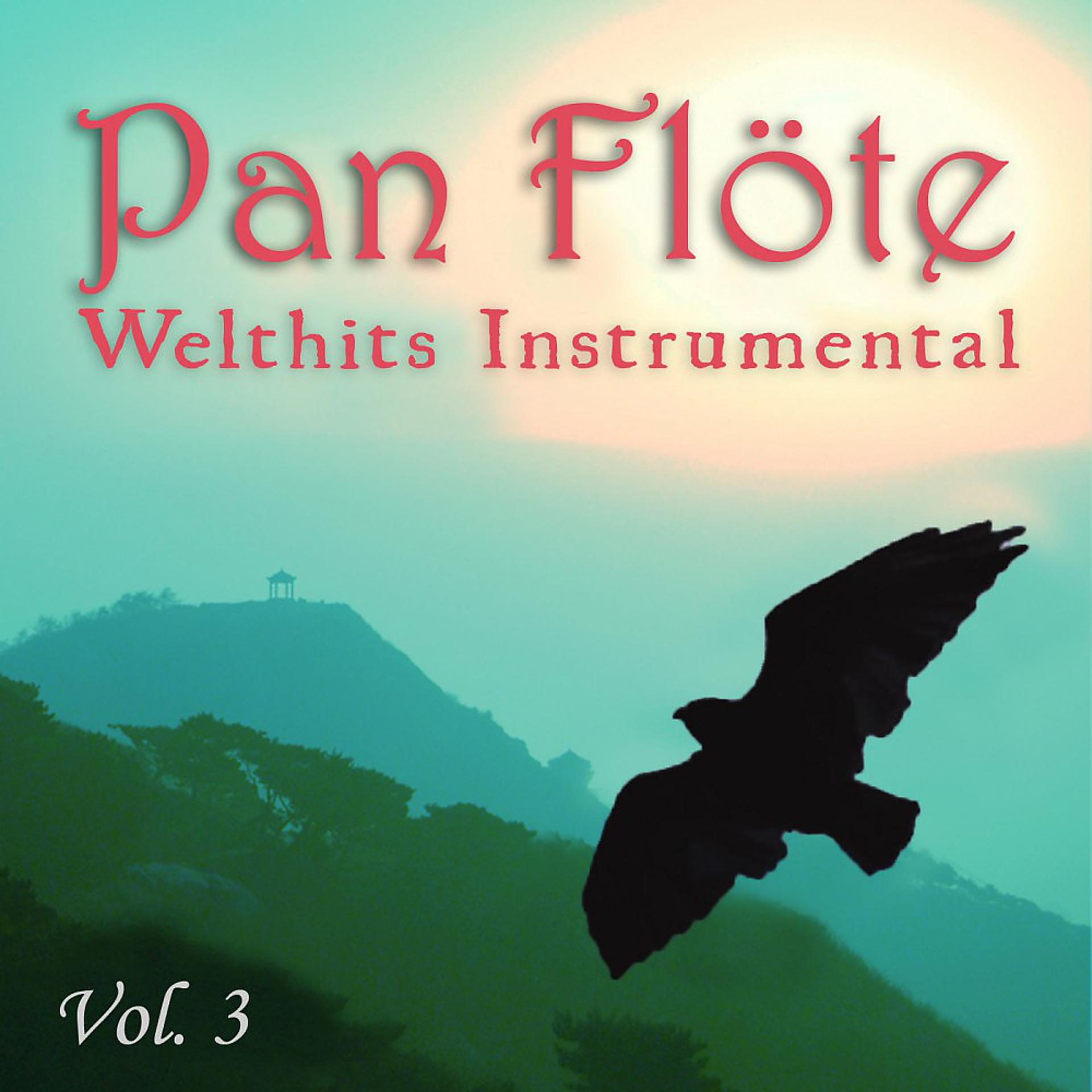 Постер альбома Welthits Instrumental, Vol. 3