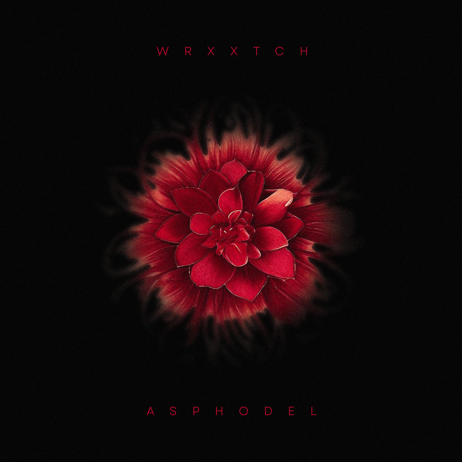 Постер альбома Asphodel