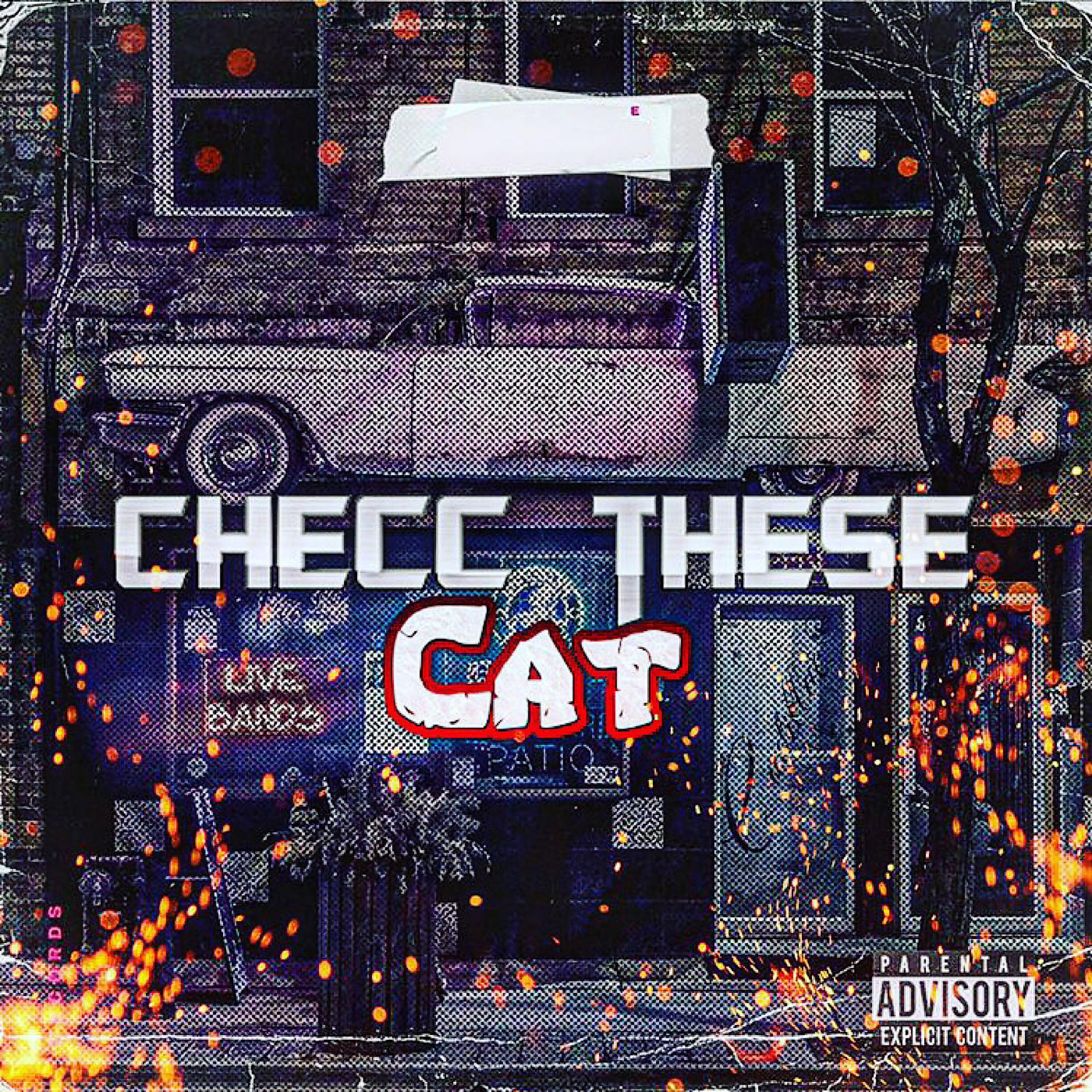 Постер альбома Cheec These Cat
