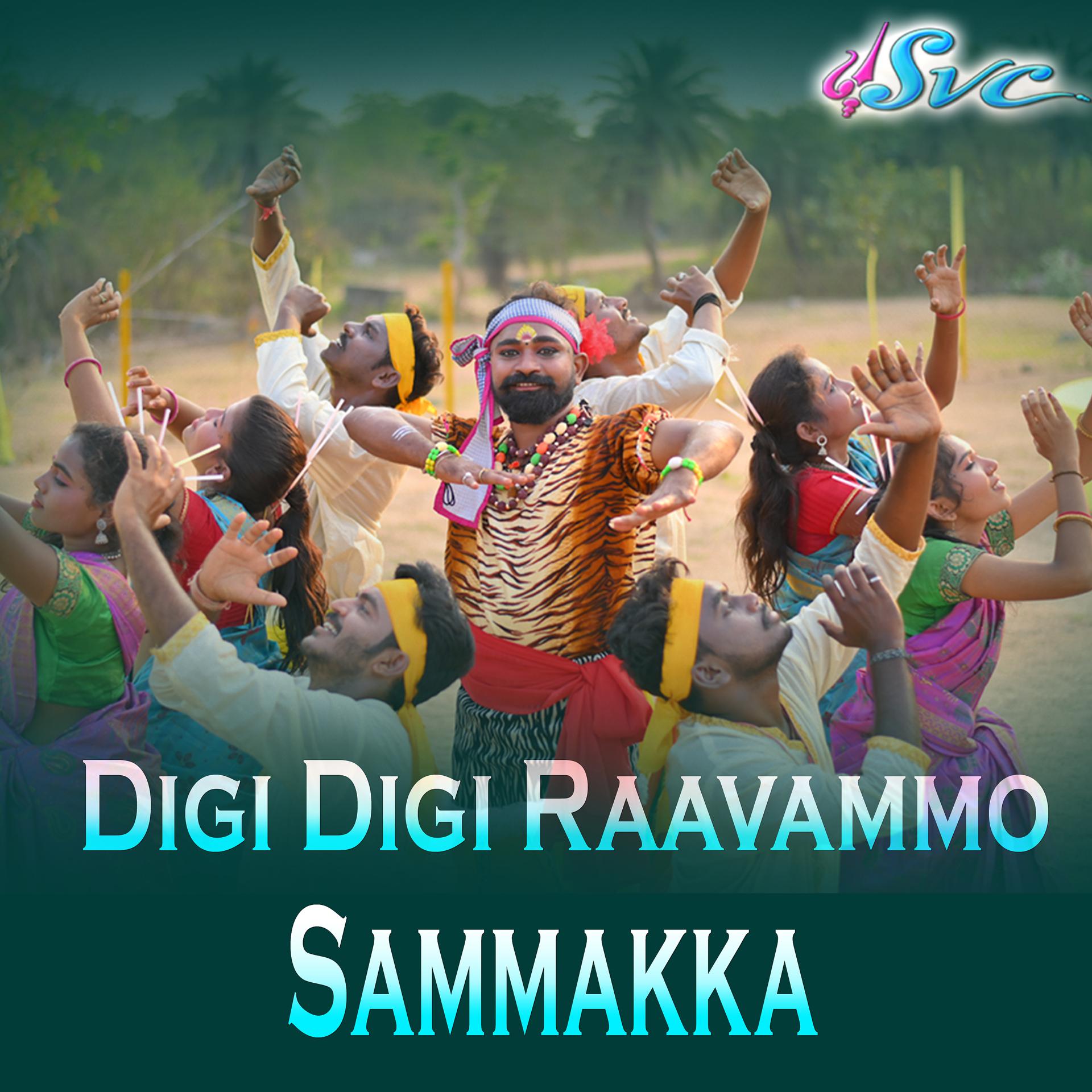Постер альбома Digi Digi Ravammo Sammakka