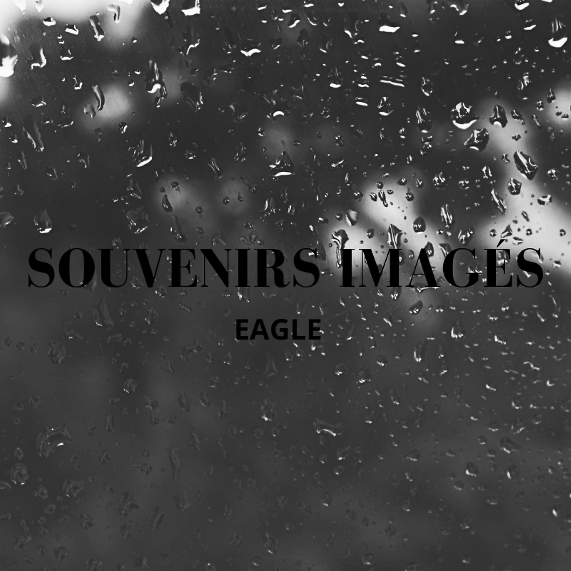 Постер альбома Souvenirs Imagés