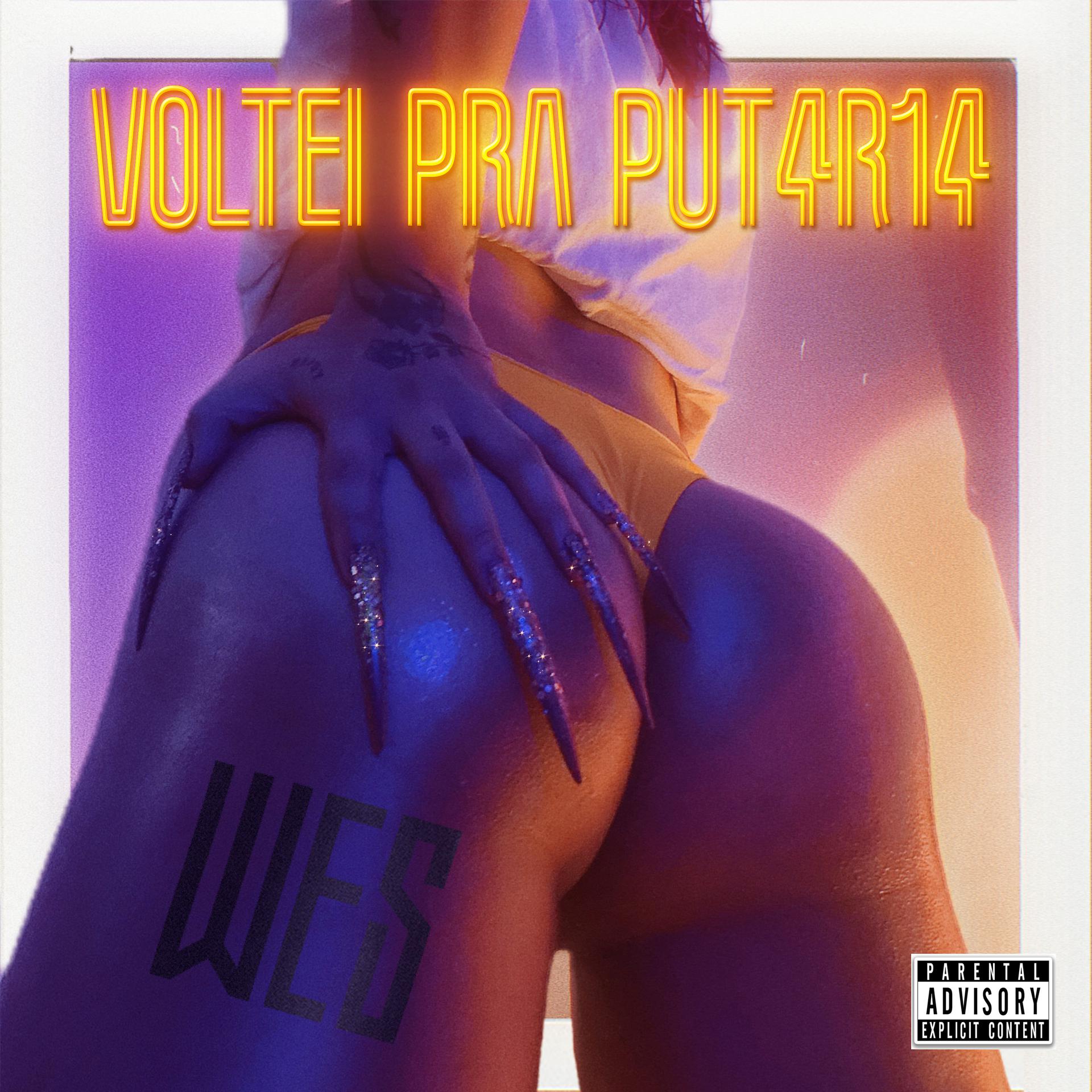 Постер альбома Voltei Pra Putaria