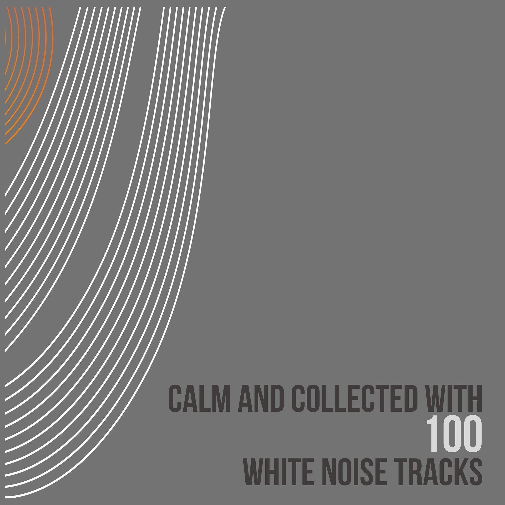 Постер альбома Calm and Collected with 100 White Noise Tracks
