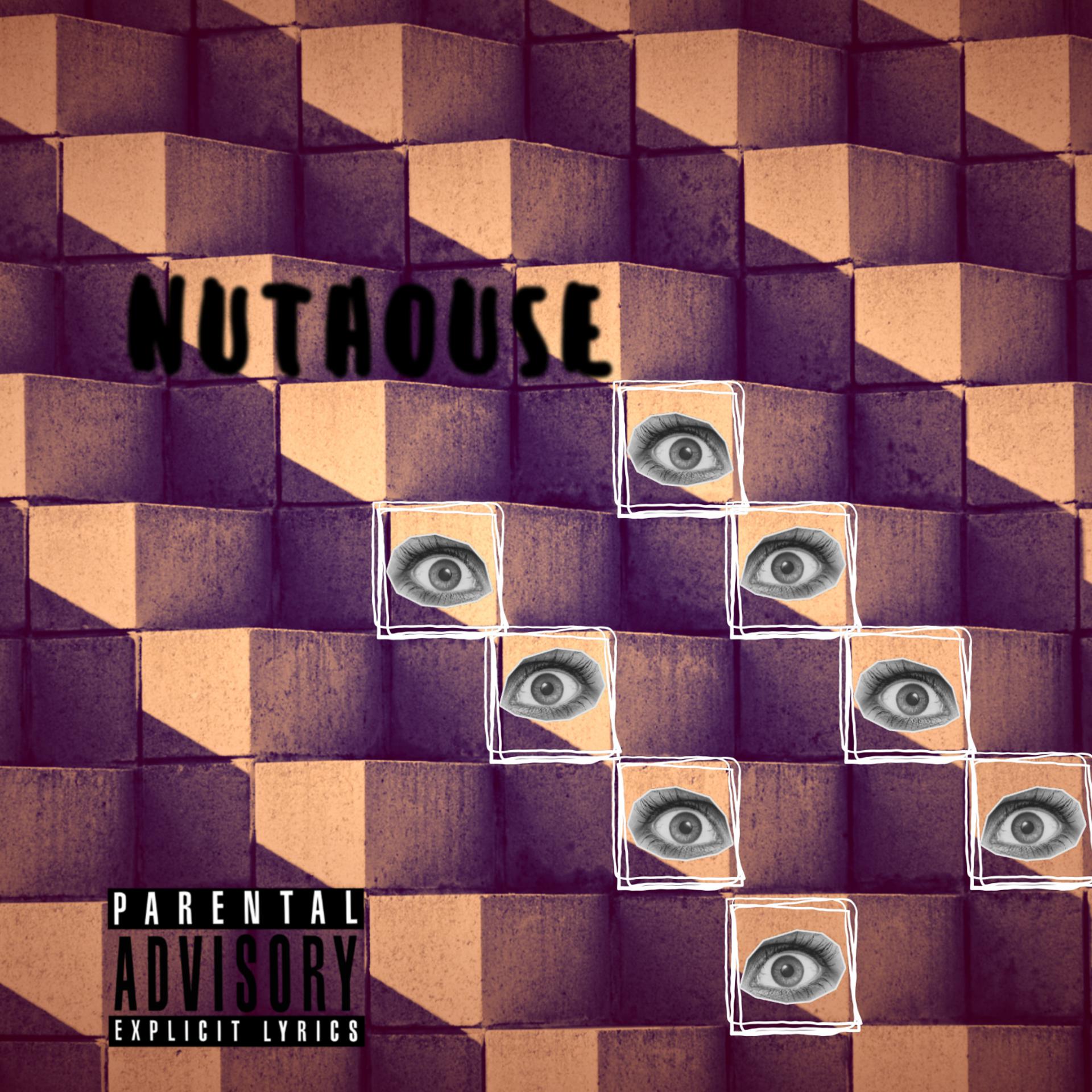 Постер альбома Nuthouse