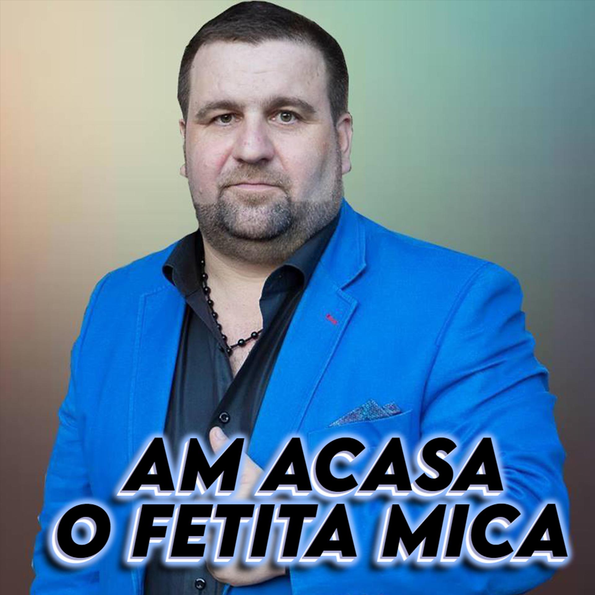 Постер альбома AM ACASA O FETITA MICA