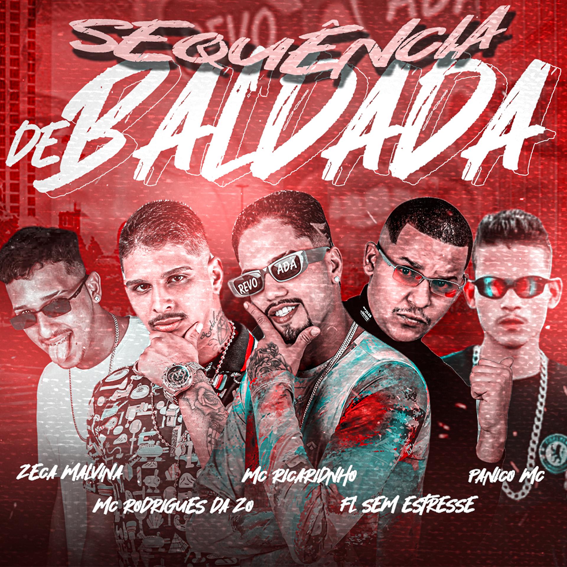 Постер альбома Sequência de Baldada