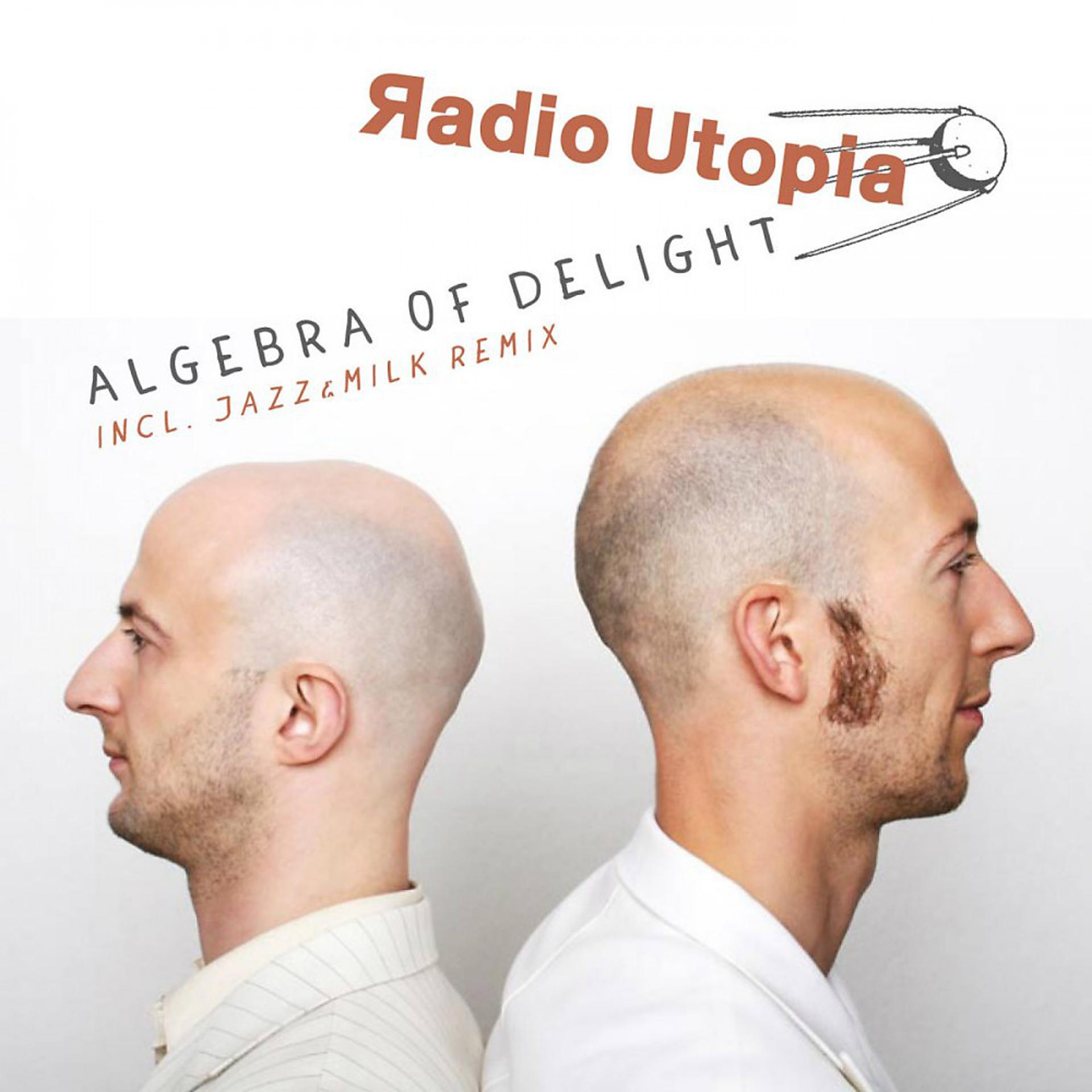 Постер альбома Algebra of Delight