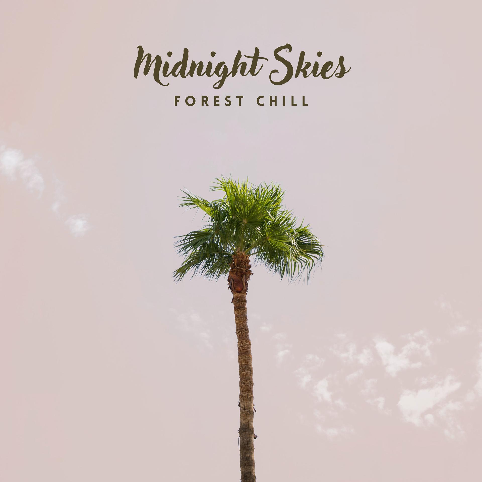 Постер альбома Midnight Skies