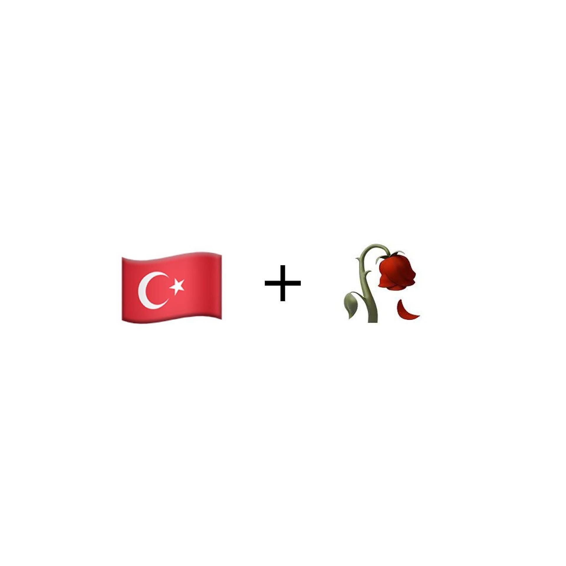 Постер альбома Турция