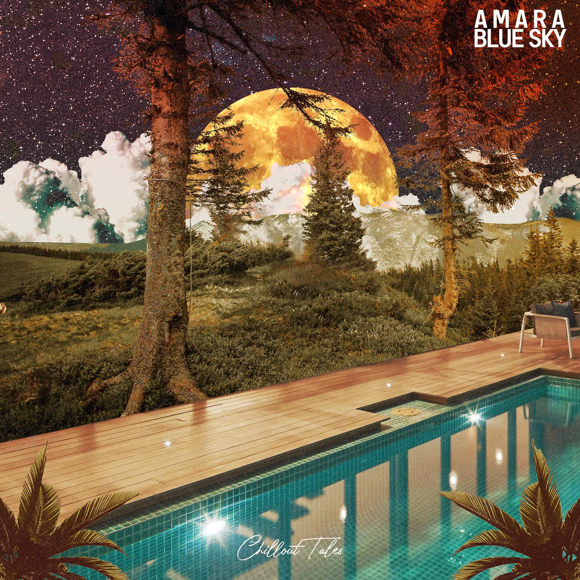 Постер альбома Amara