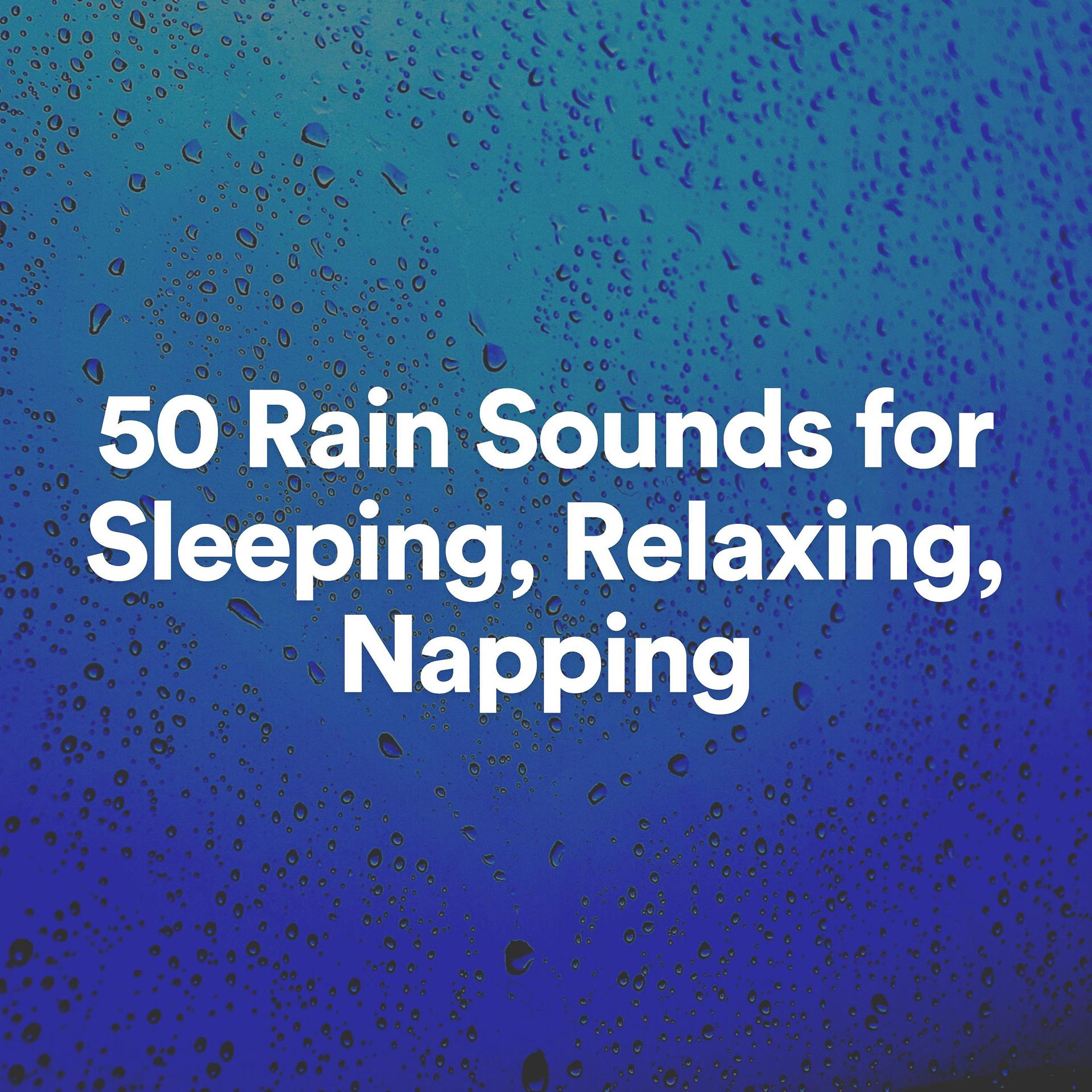 Постер альбома 50 Rain Sounds for Sleeping, Relaxing, Napping