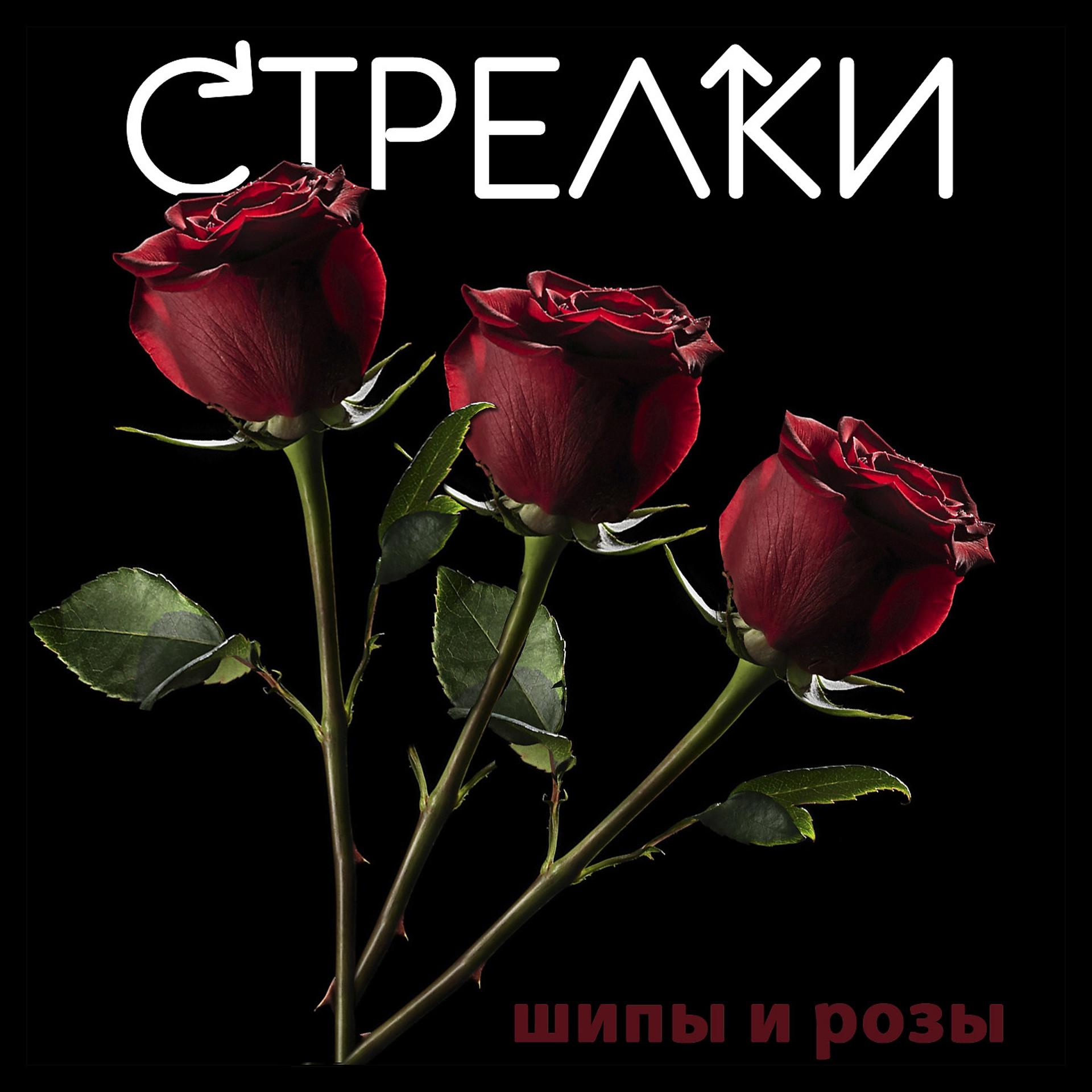 Постер альбома Шипы и розы