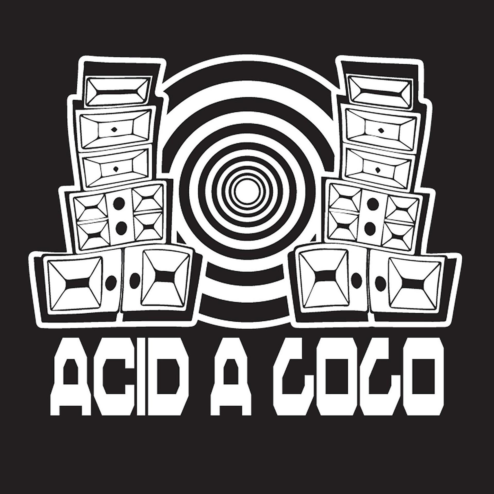 Постер альбома Acid A GoGo 02