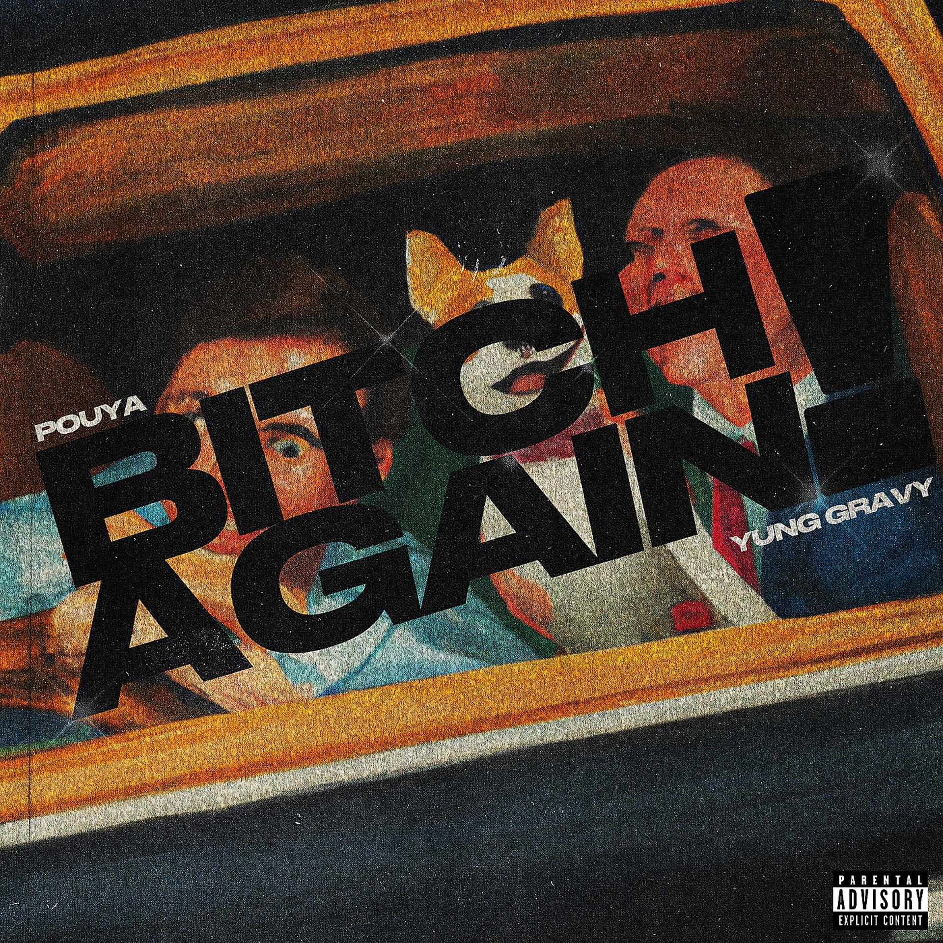 Постер альбома Bitch Again