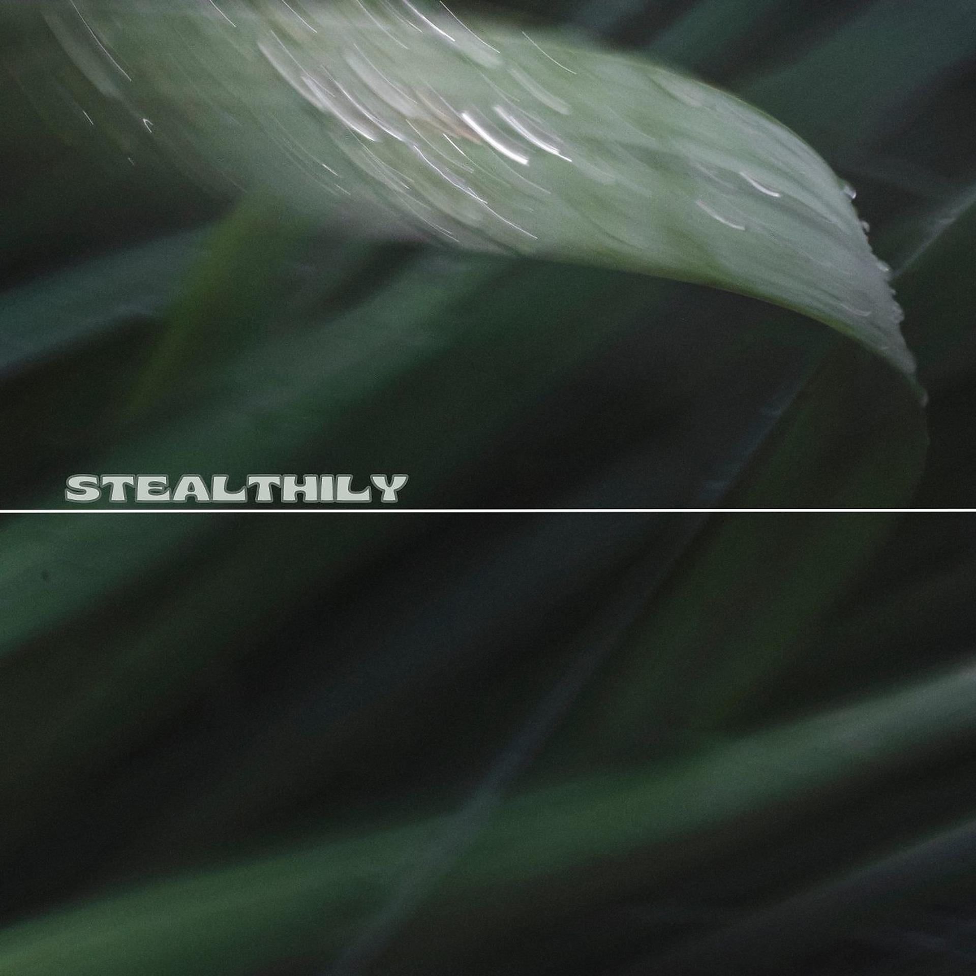 Постер альбома Stealthily
