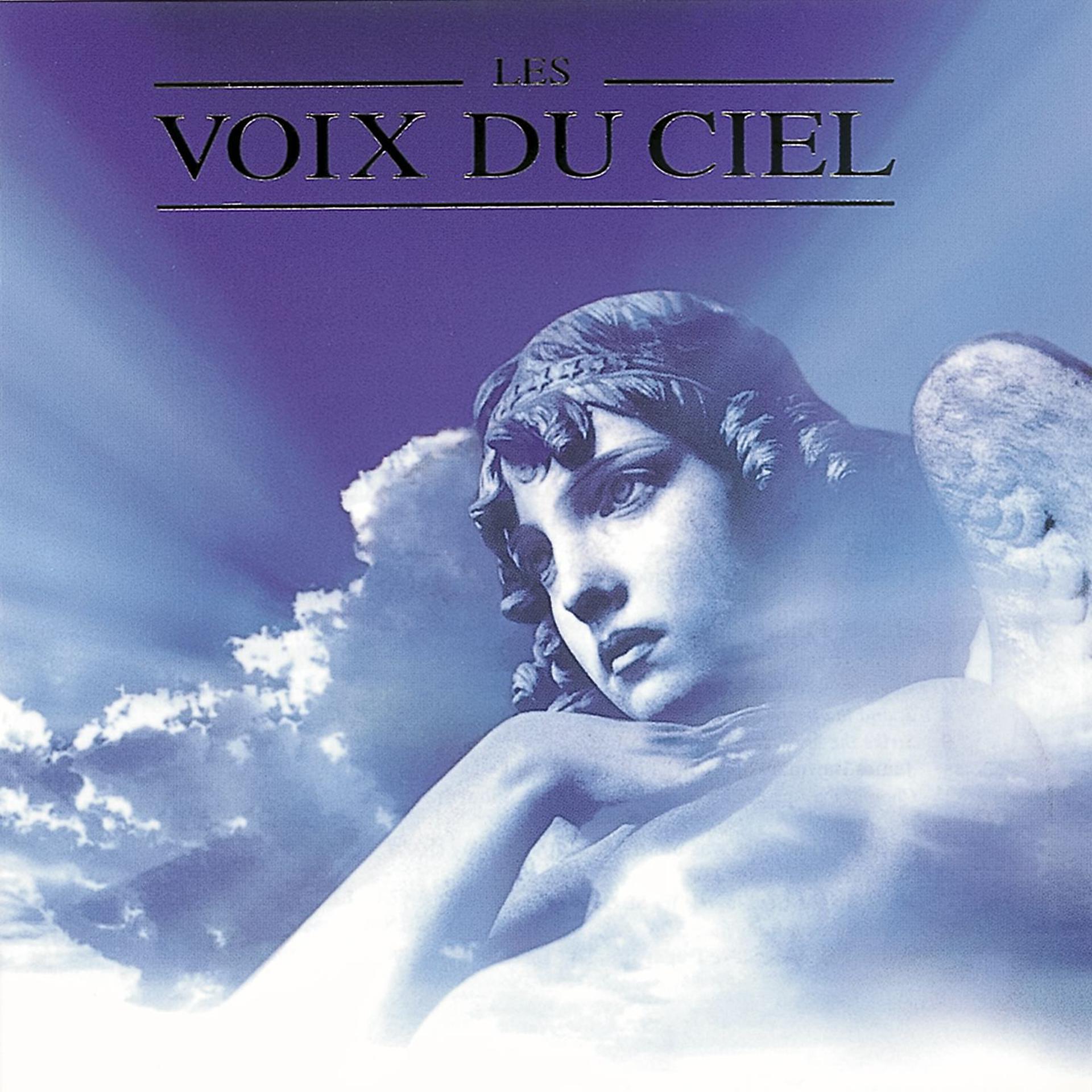 Постер альбома Les Voix Du Ciel (Angel Voices)