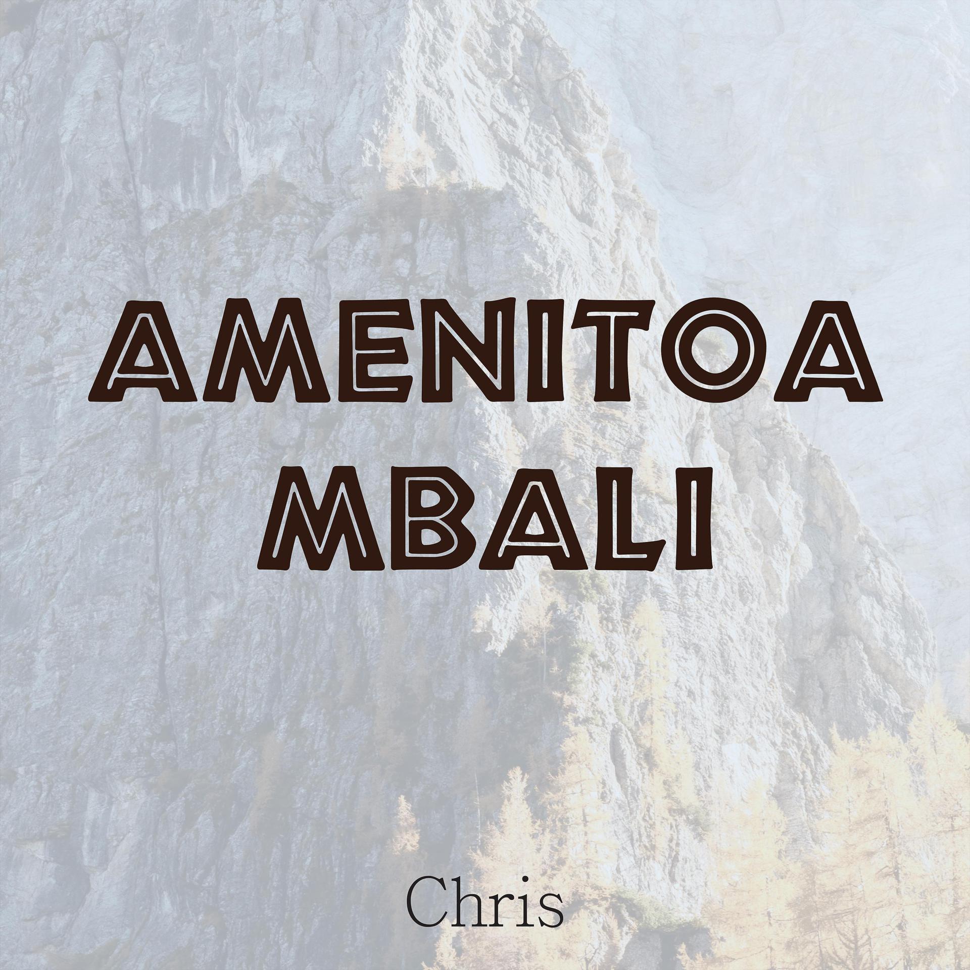 Постер альбома Amenitoa Mbali