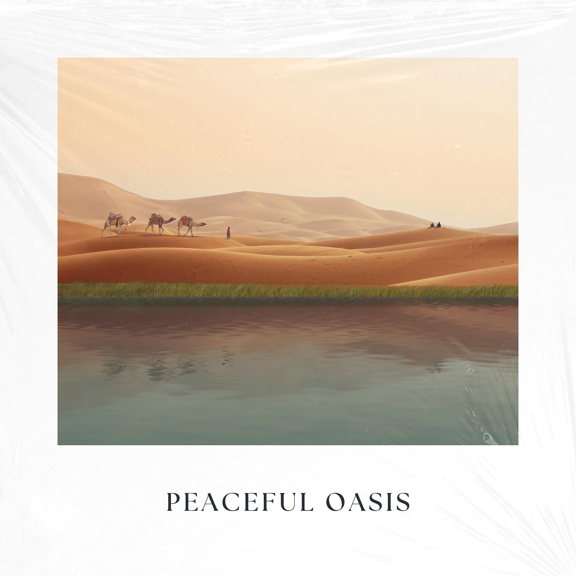 Постер альбома Peaceful Oasis