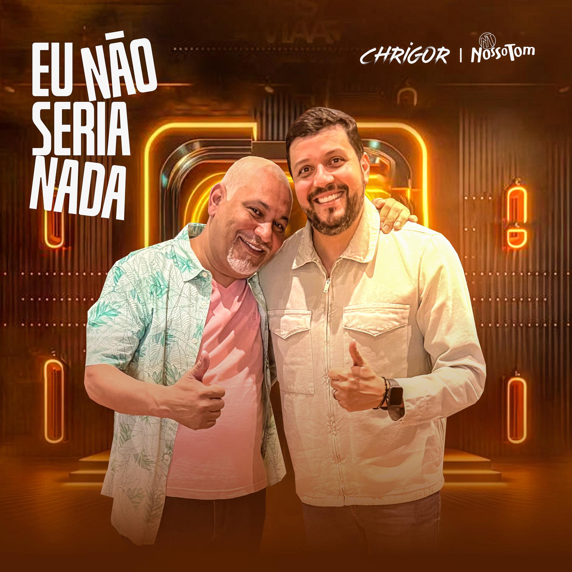 Постер альбома Eu Não Seria Nada