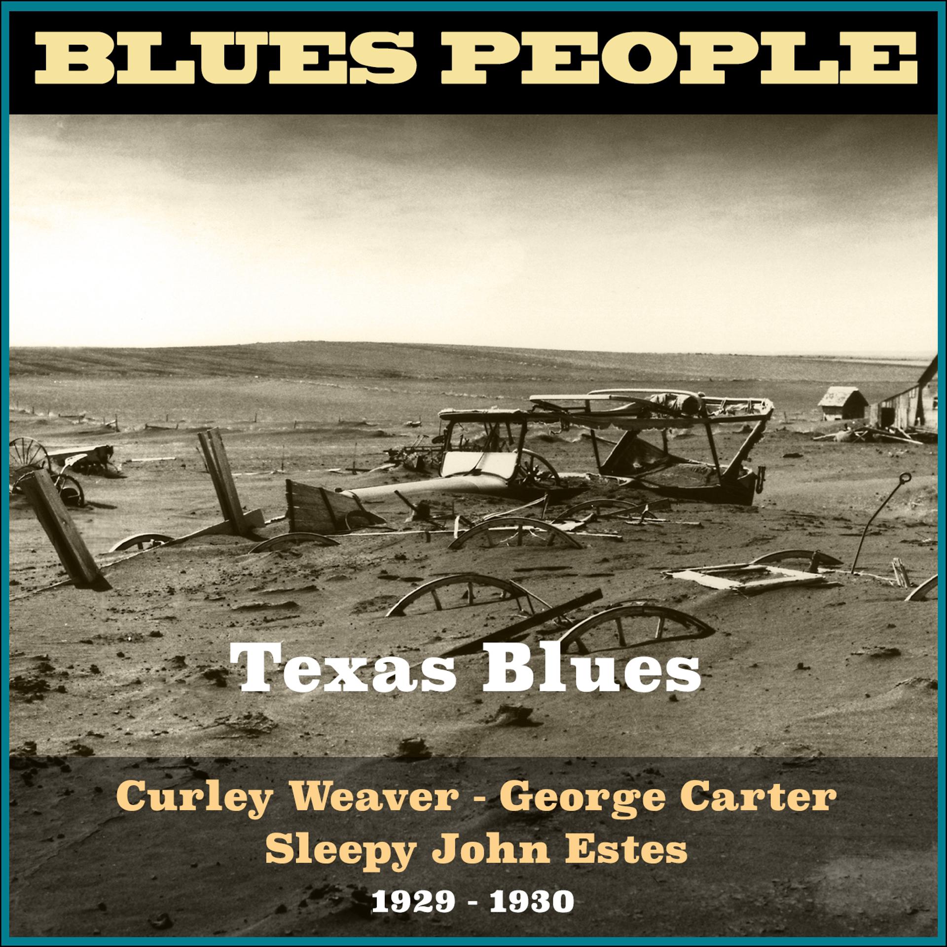 Постер альбома Texas Blues