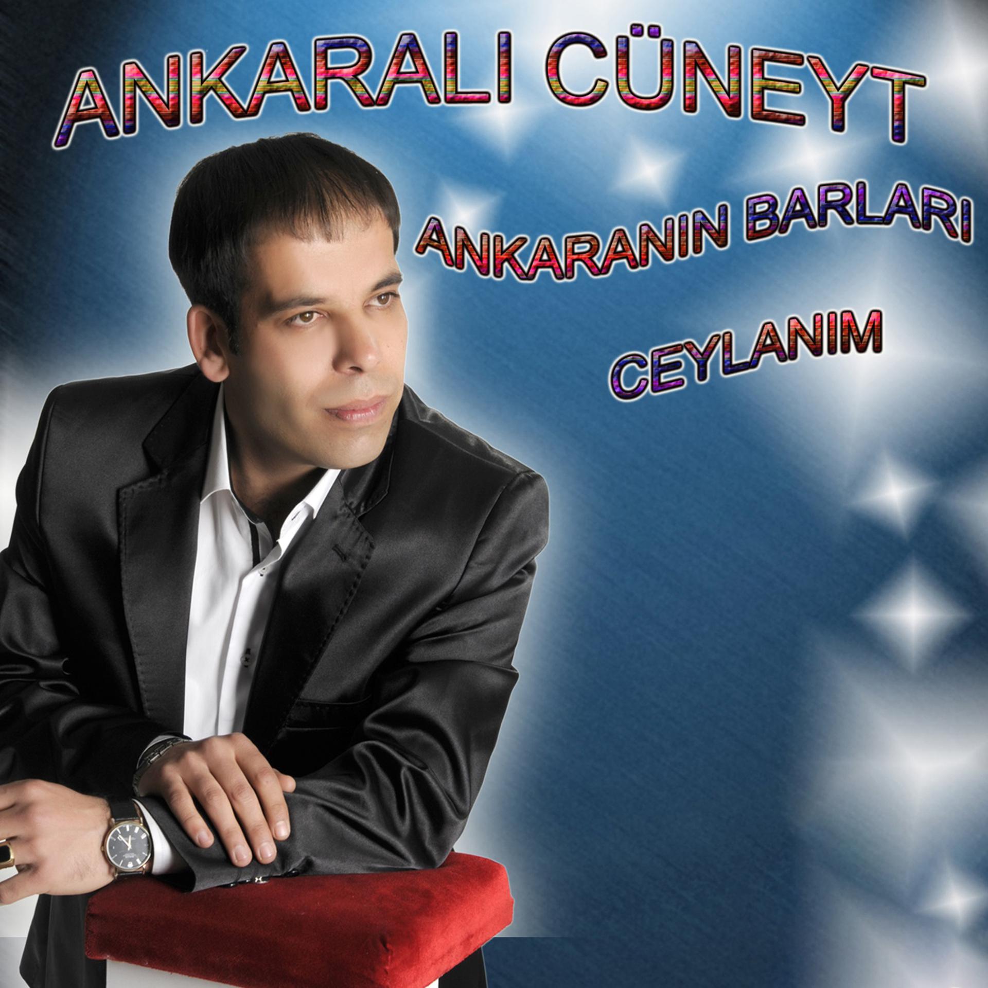 Постер альбома Ankara'nın Barları / Ceylanım