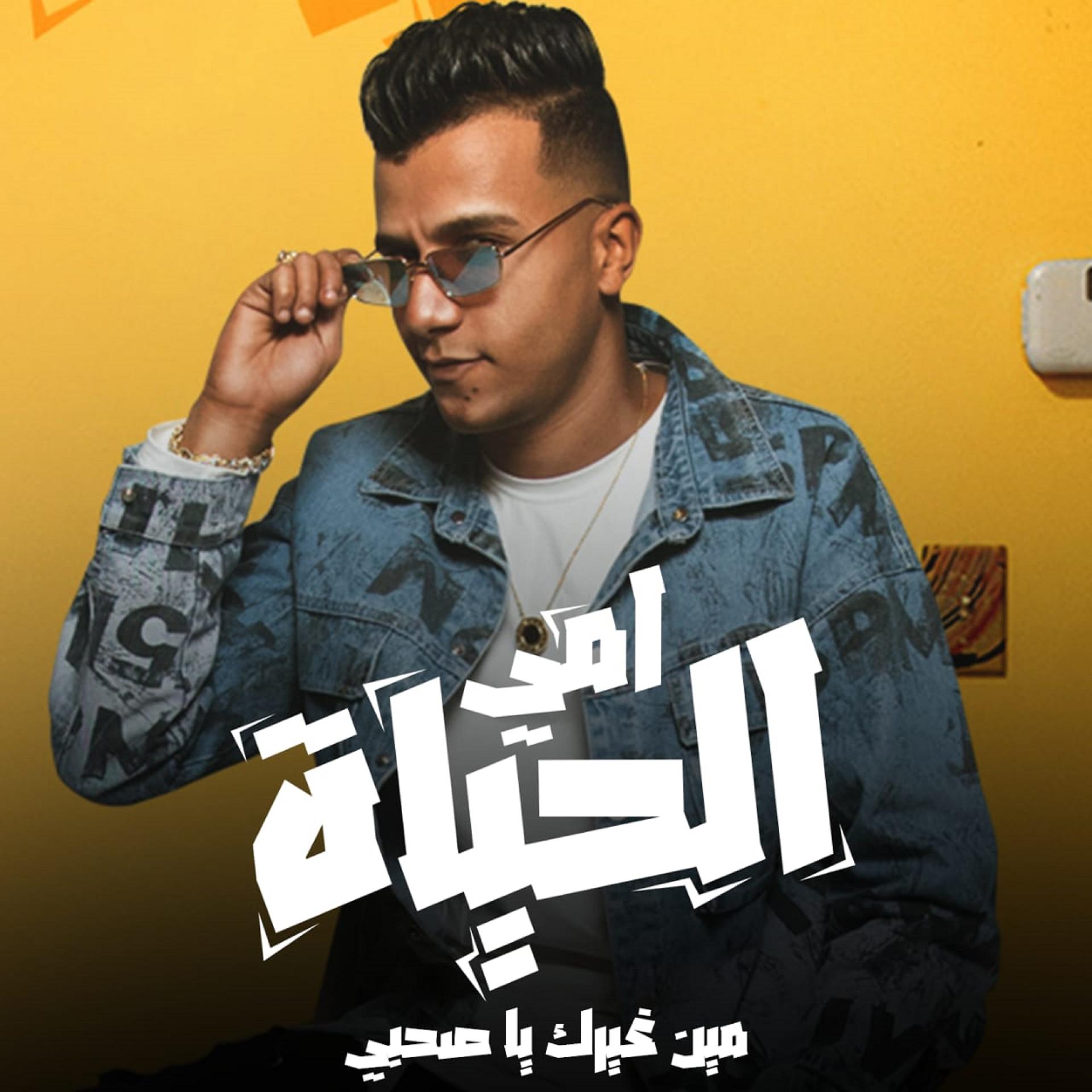Постер альбома امي الحياه