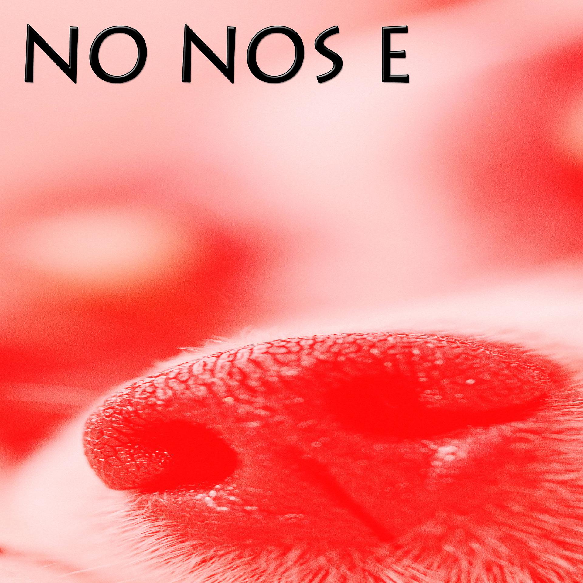 Постер альбома NO NOS E