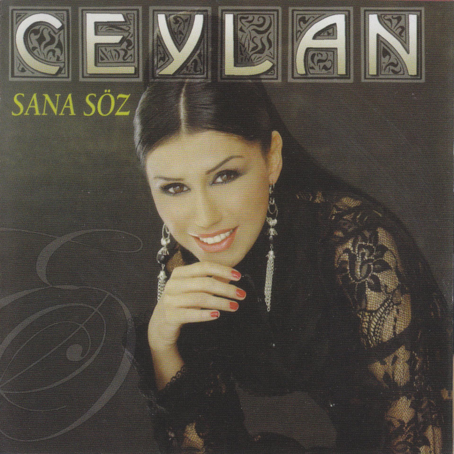 Постер альбома Sana Söz