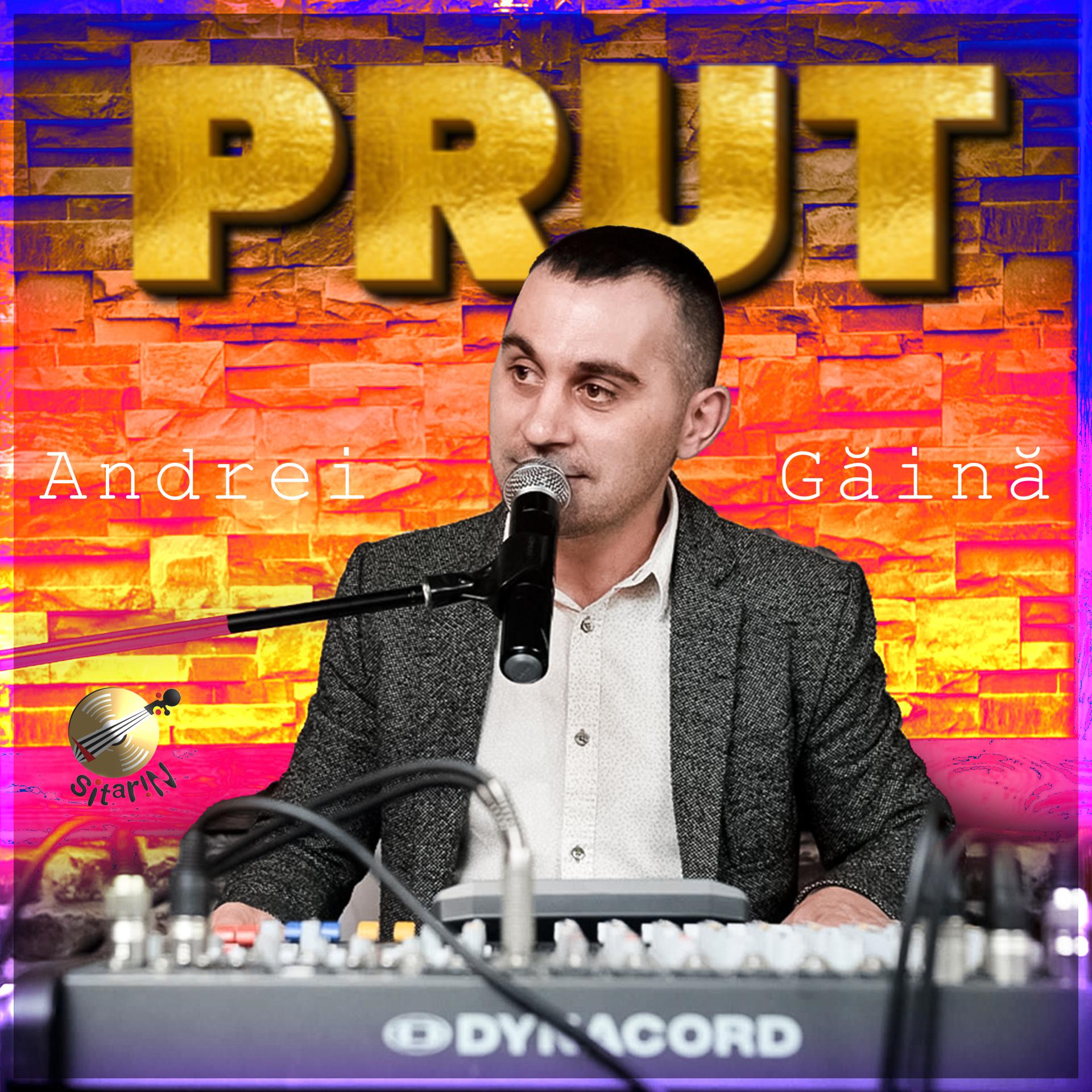 Постер альбома Formatia Prut