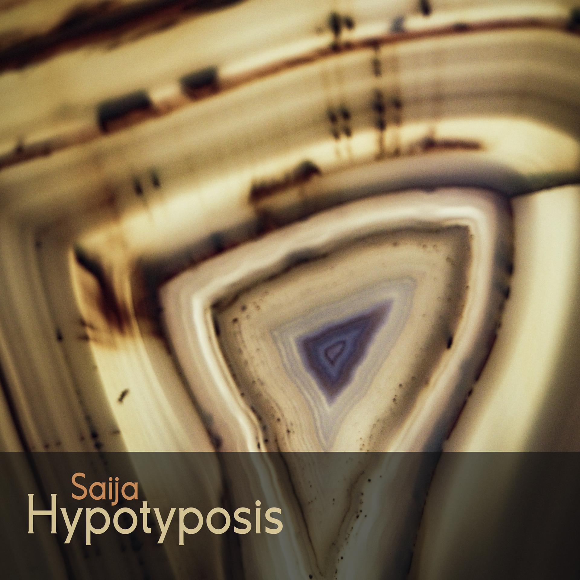 Постер альбома Hypotyposis