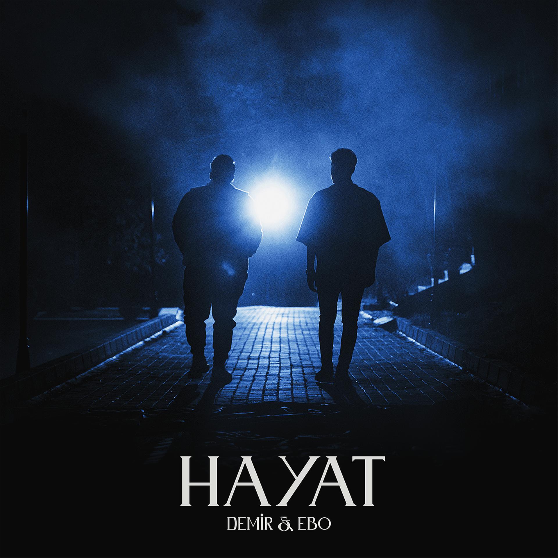 Постер альбома Hayat