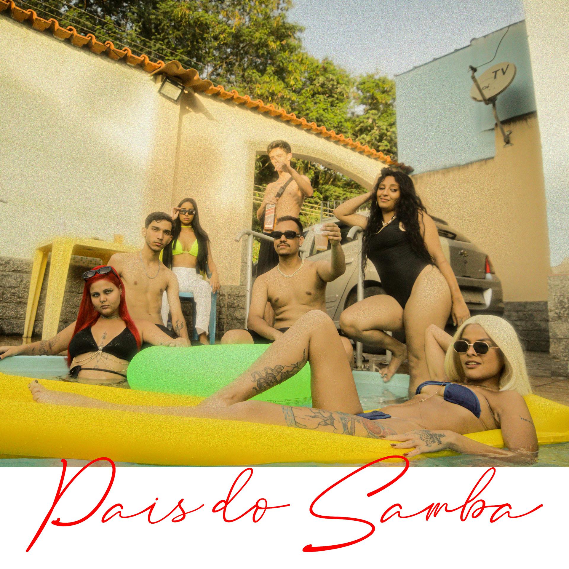 Постер альбома País do Samba