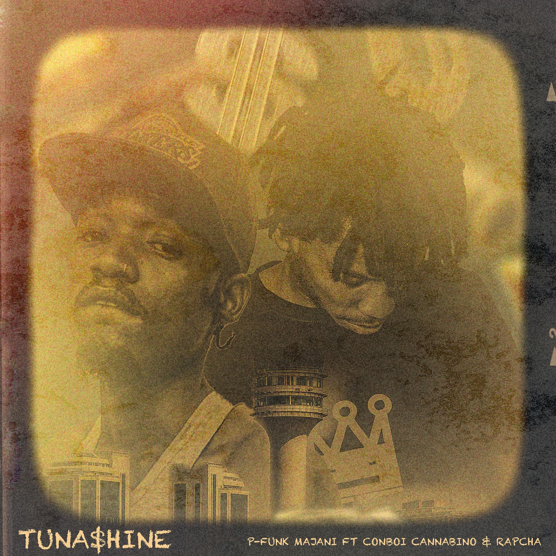 Постер альбома Tunashine