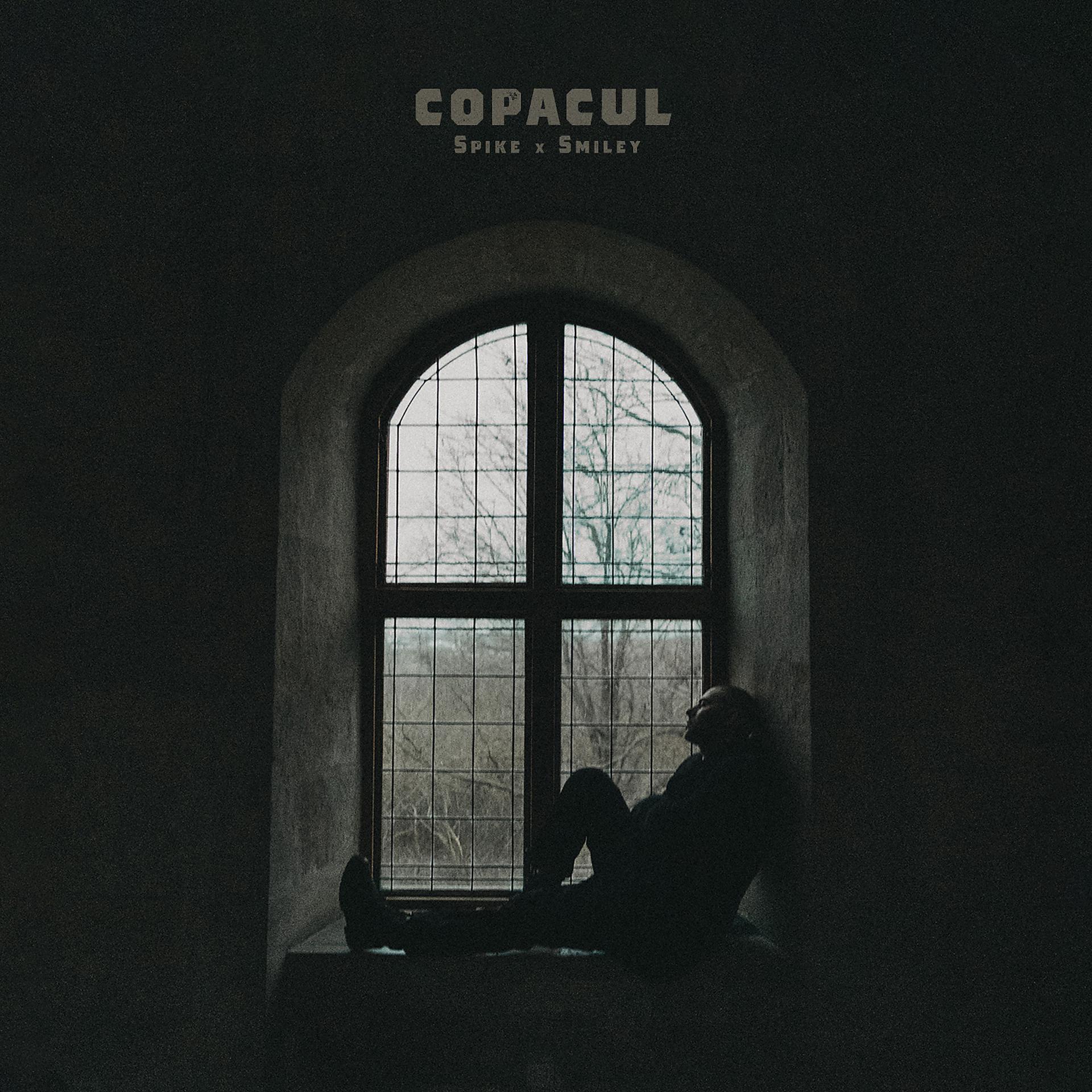 Постер альбома Copacul