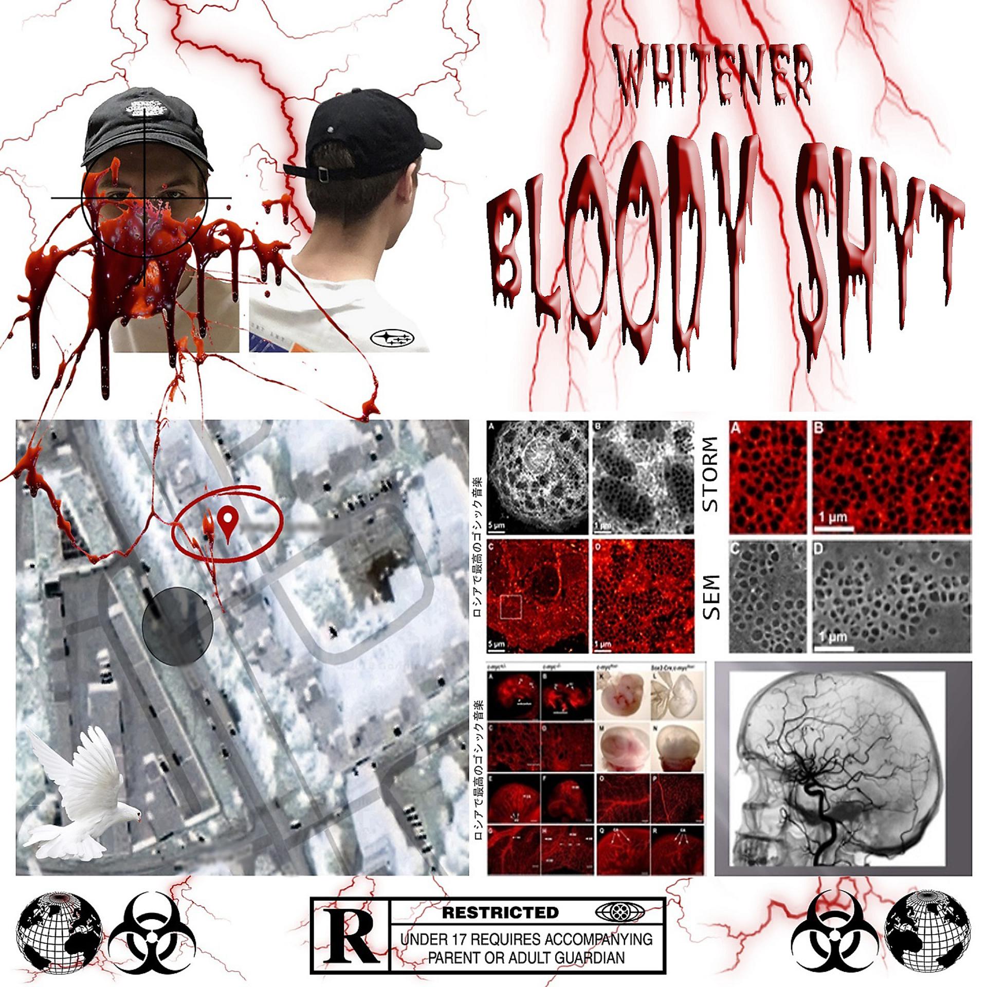 Постер альбома Bloody Shyt