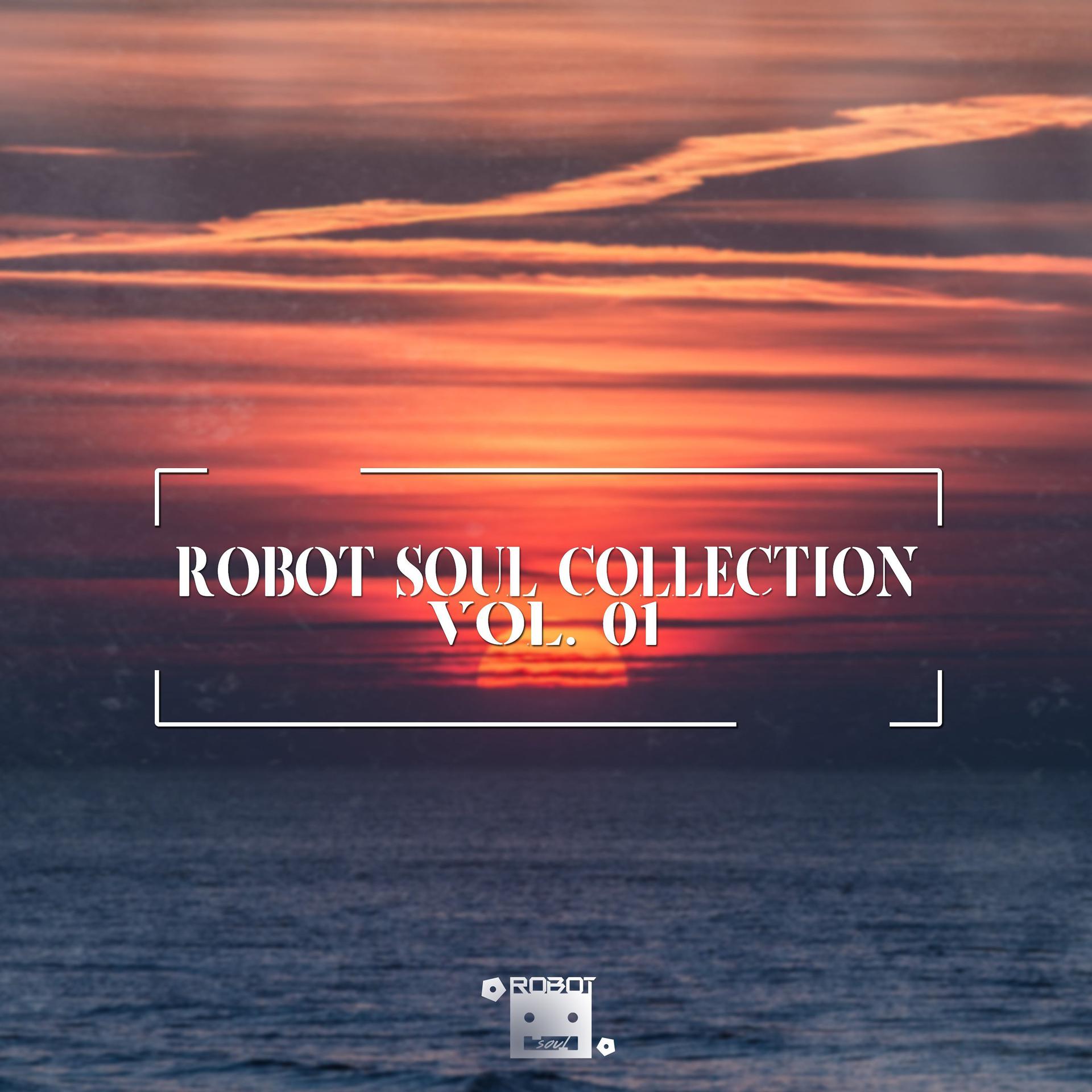 Постер альбома Robot Soul Collection Vol. 01