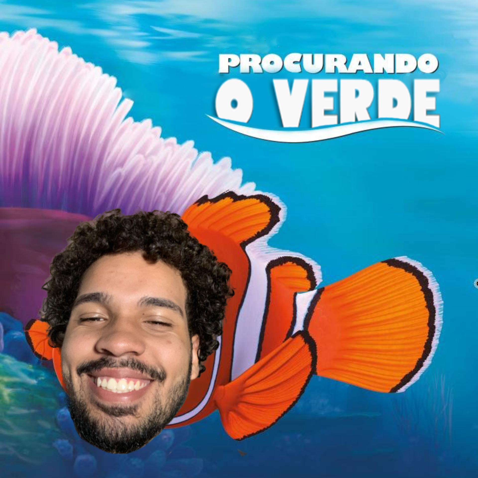 Постер альбома Procurando o Verde