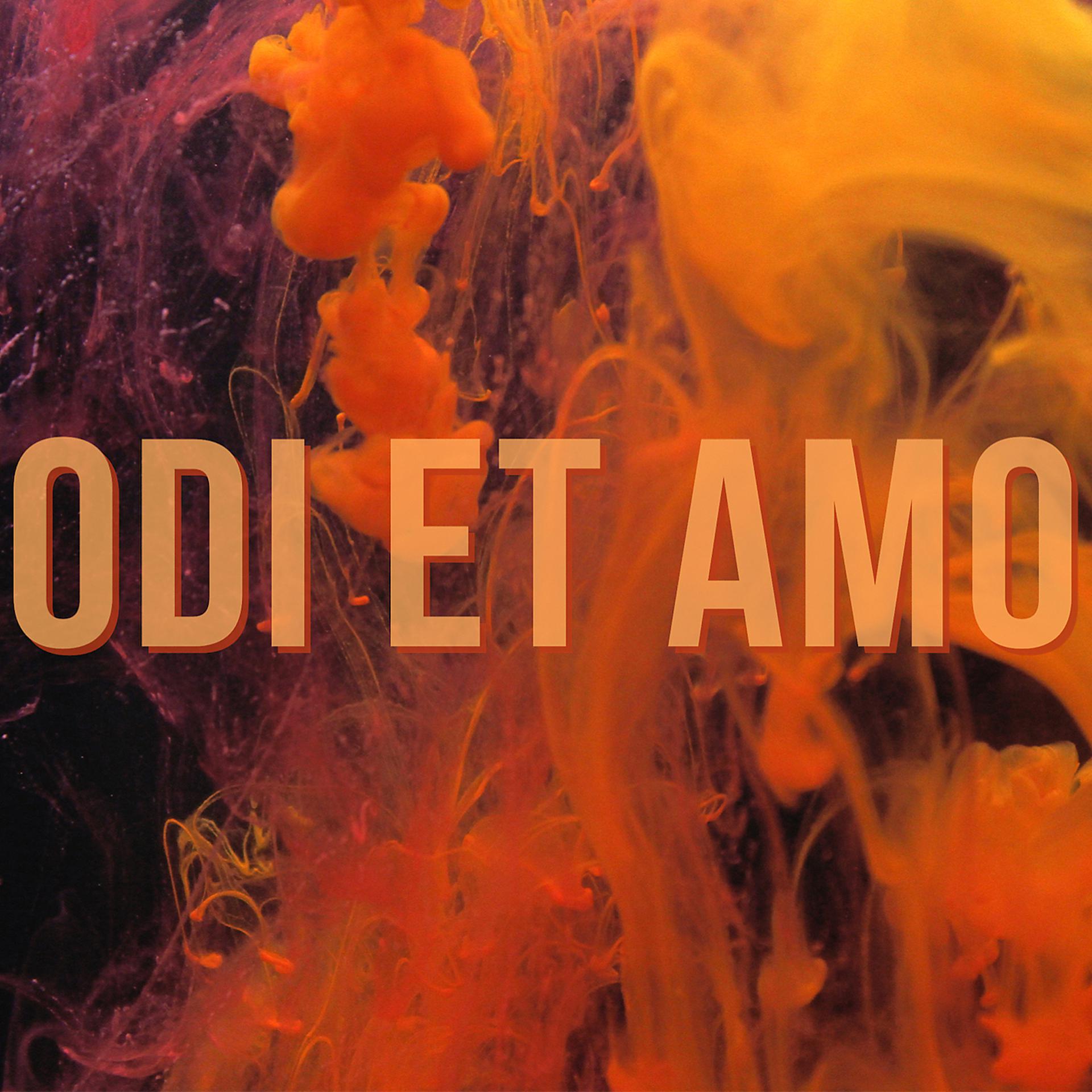 Постер альбома Odi Et Amo