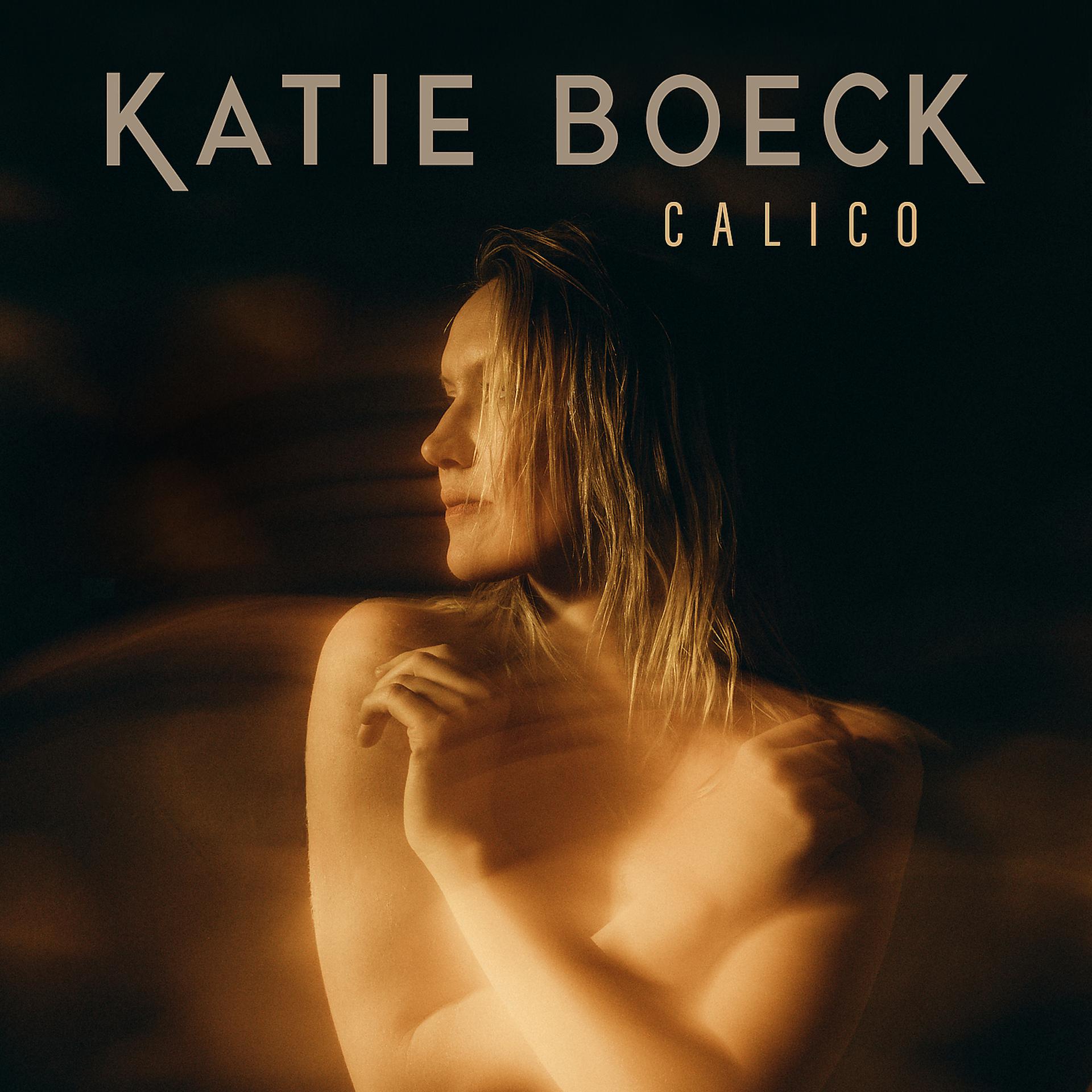 Постер альбома Calico