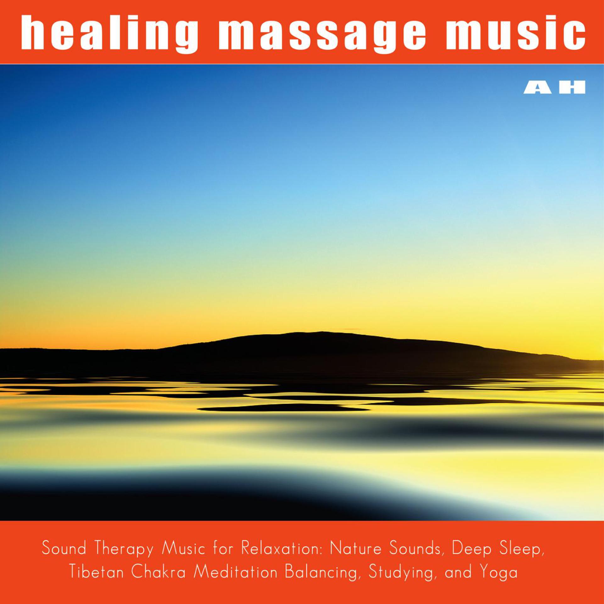 Постер альбома Healing Massage Music
