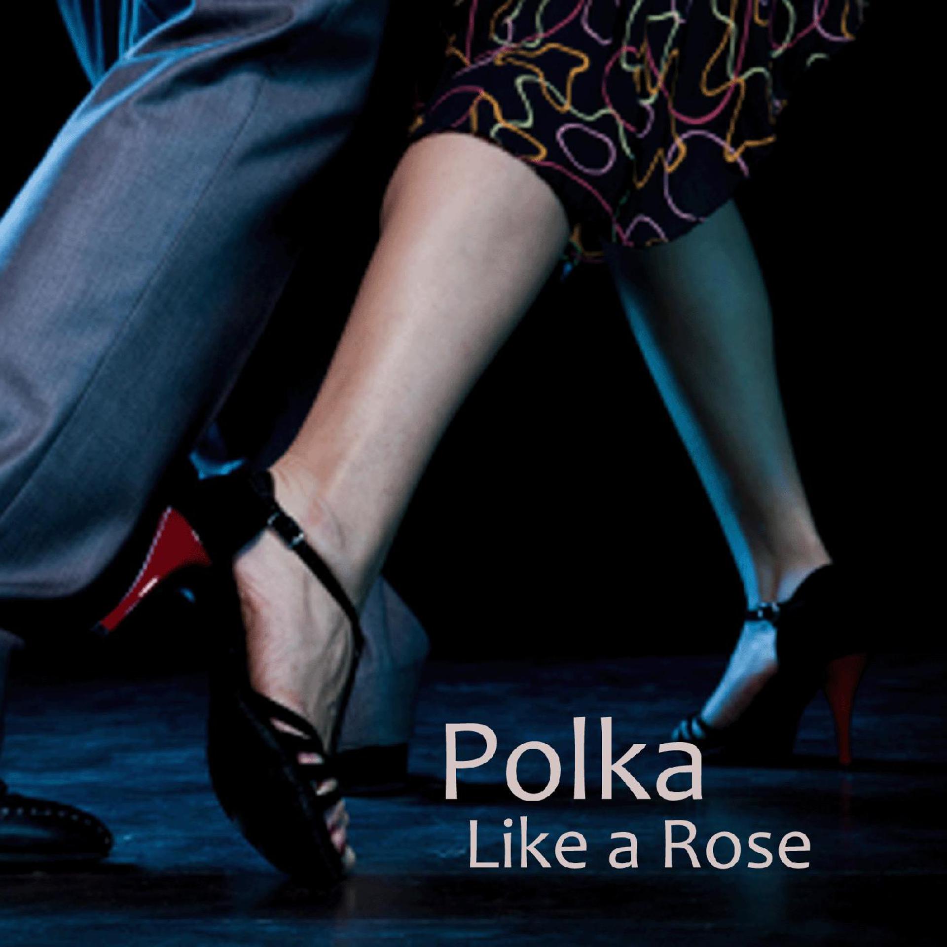 Постер альбома Polka - Like a Rose Polka - Polka Music