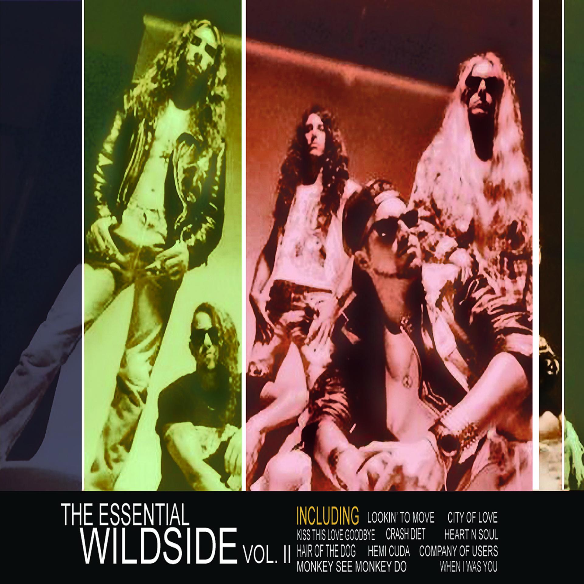 Постер альбома The Essential Wildside Vol II
