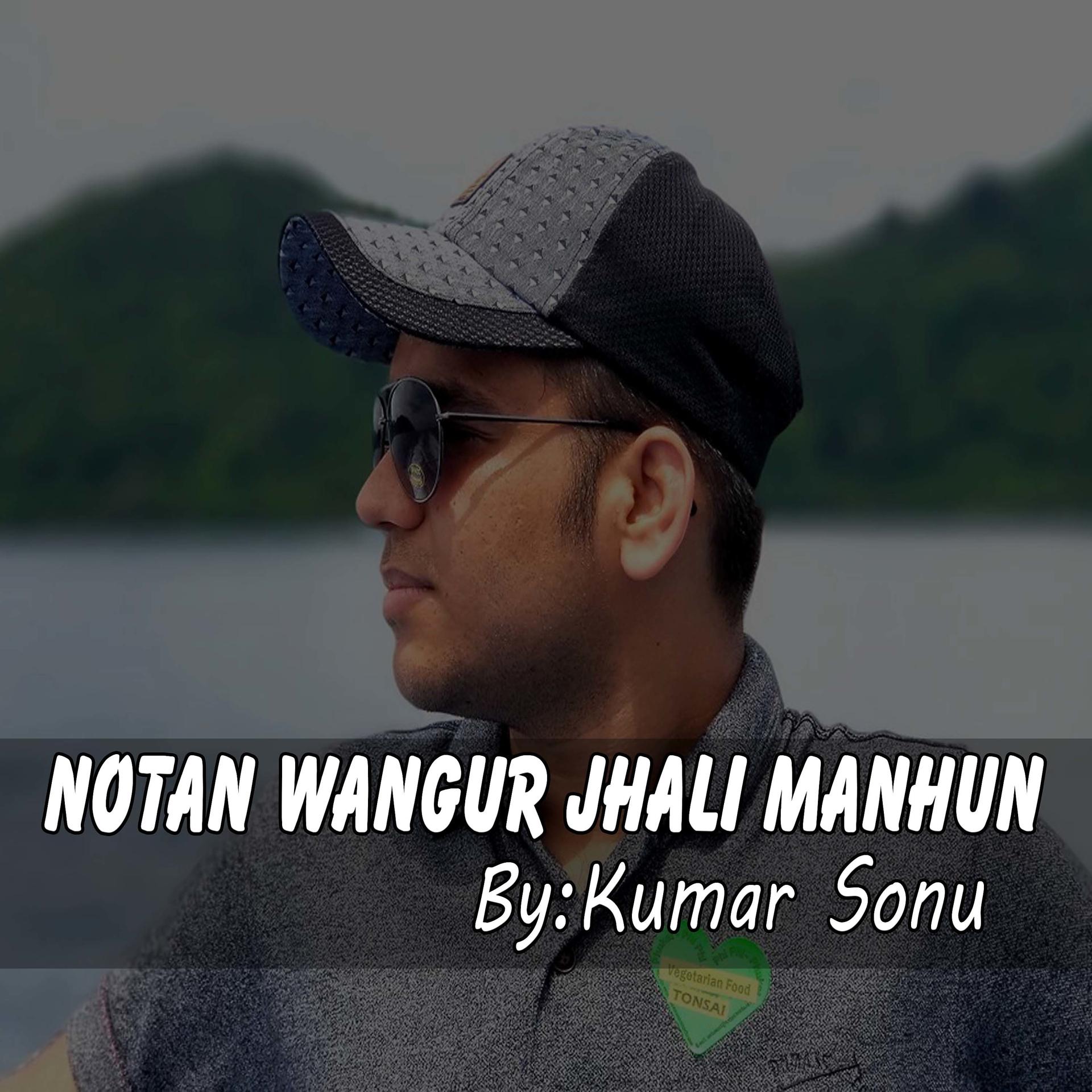 Постер альбома Notan wangur Jhali Manhun