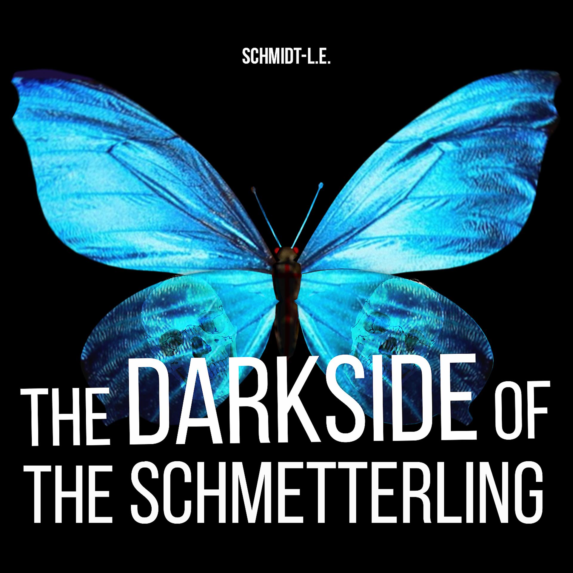 Постер альбома The Darkside of the Schmetterling