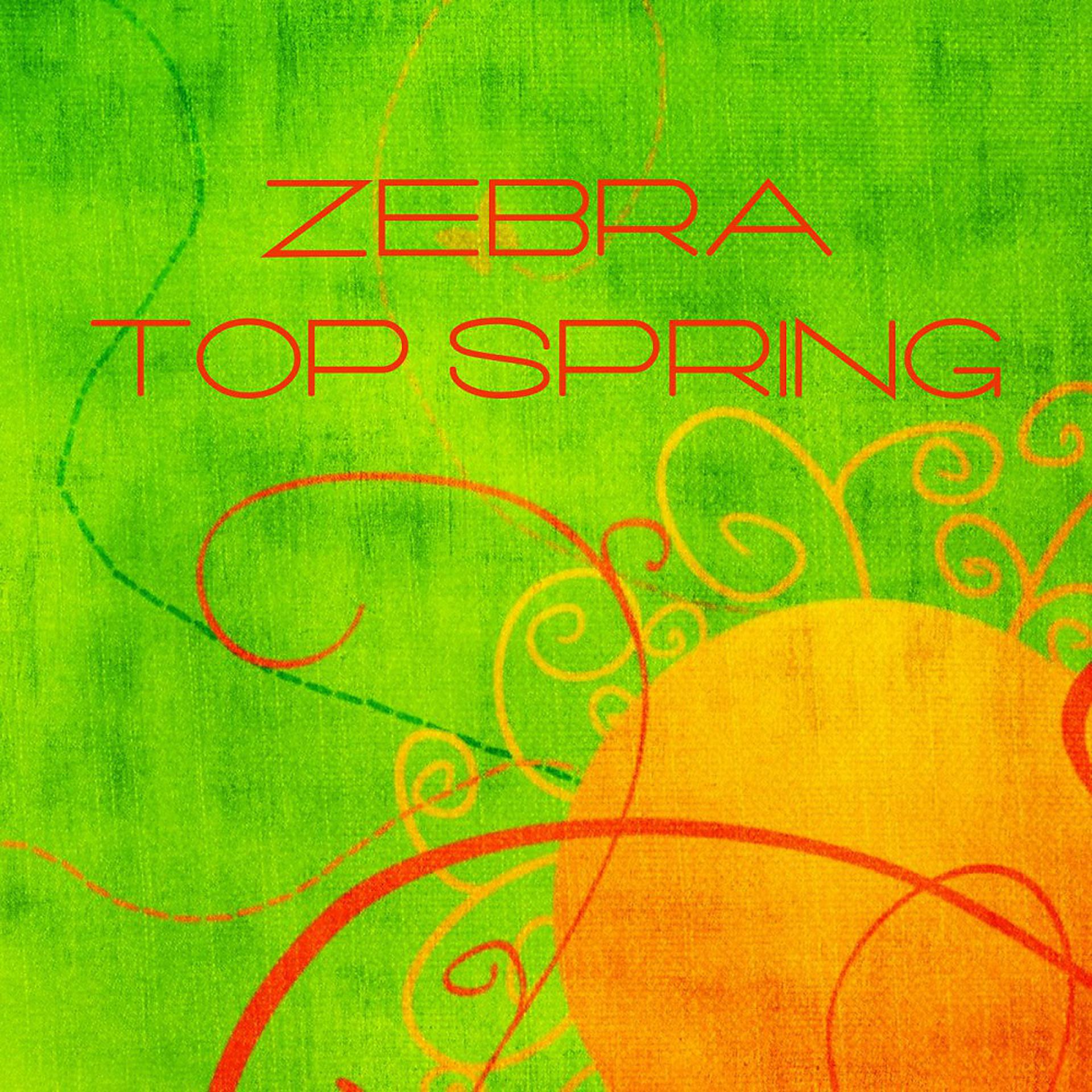 Постер альбома Zebra Top Spring