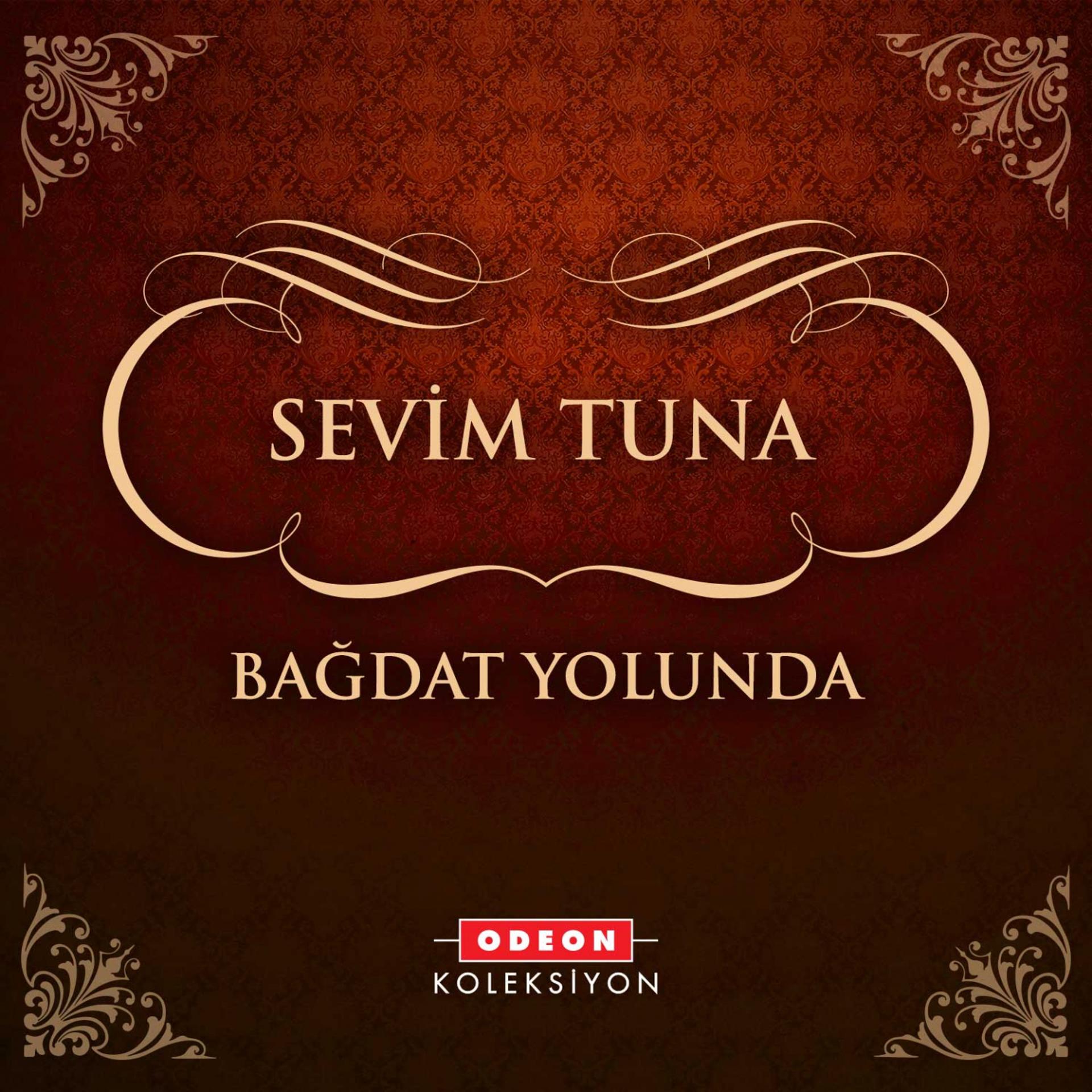 Постер альбома Bağdat Yolunda