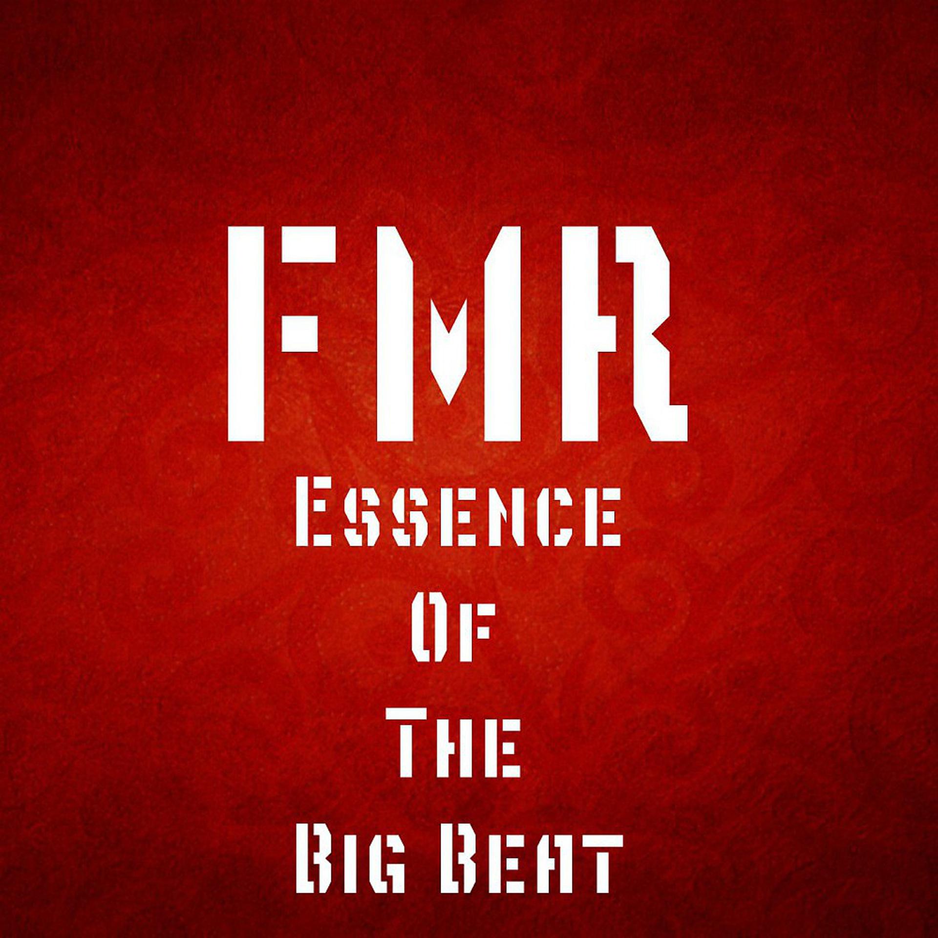Постер альбома Essence of the Big Beat