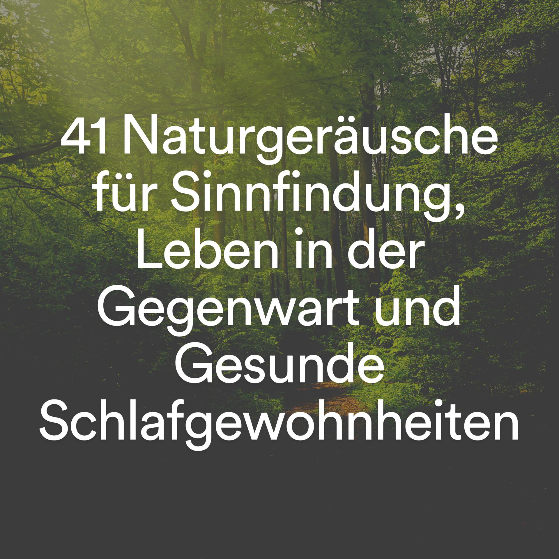 Постер альбома 41 Naturgeräusche für Sinnfindung, Leben in der Gegenwart und Gesunde Schlafgewohnheiten