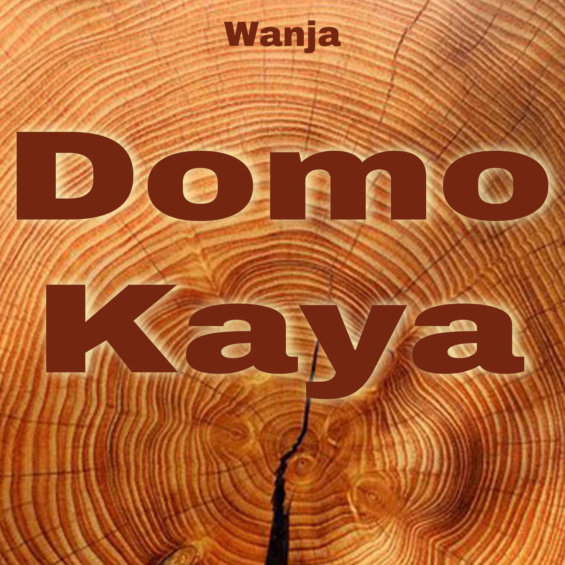 Постер альбома Domo Kaya